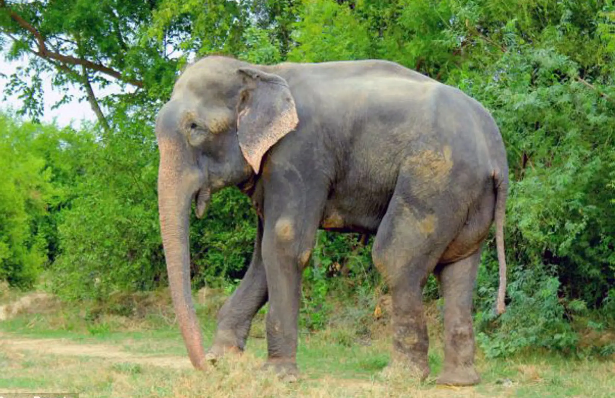 raju.jpg