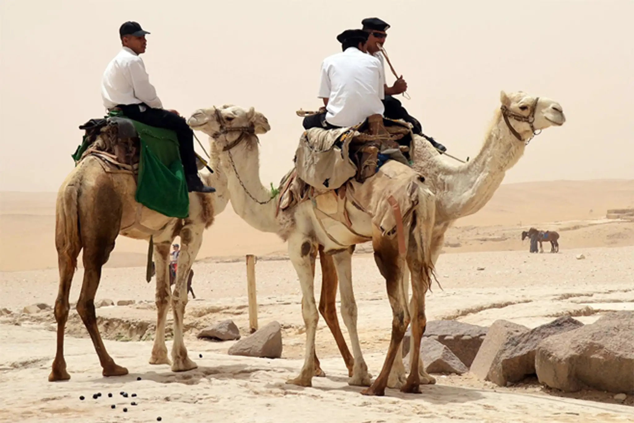 Egypt2.jpg