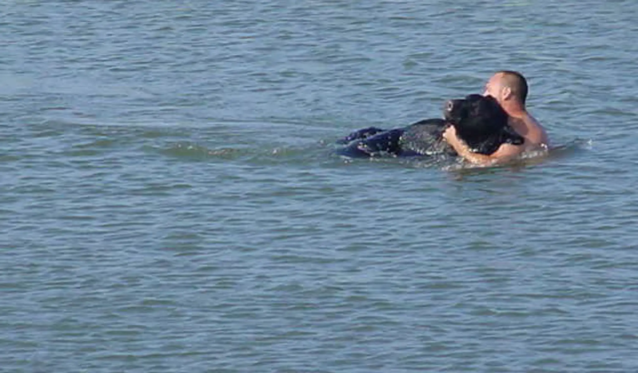 Muž zachraňuje topiaceho sa medveďa