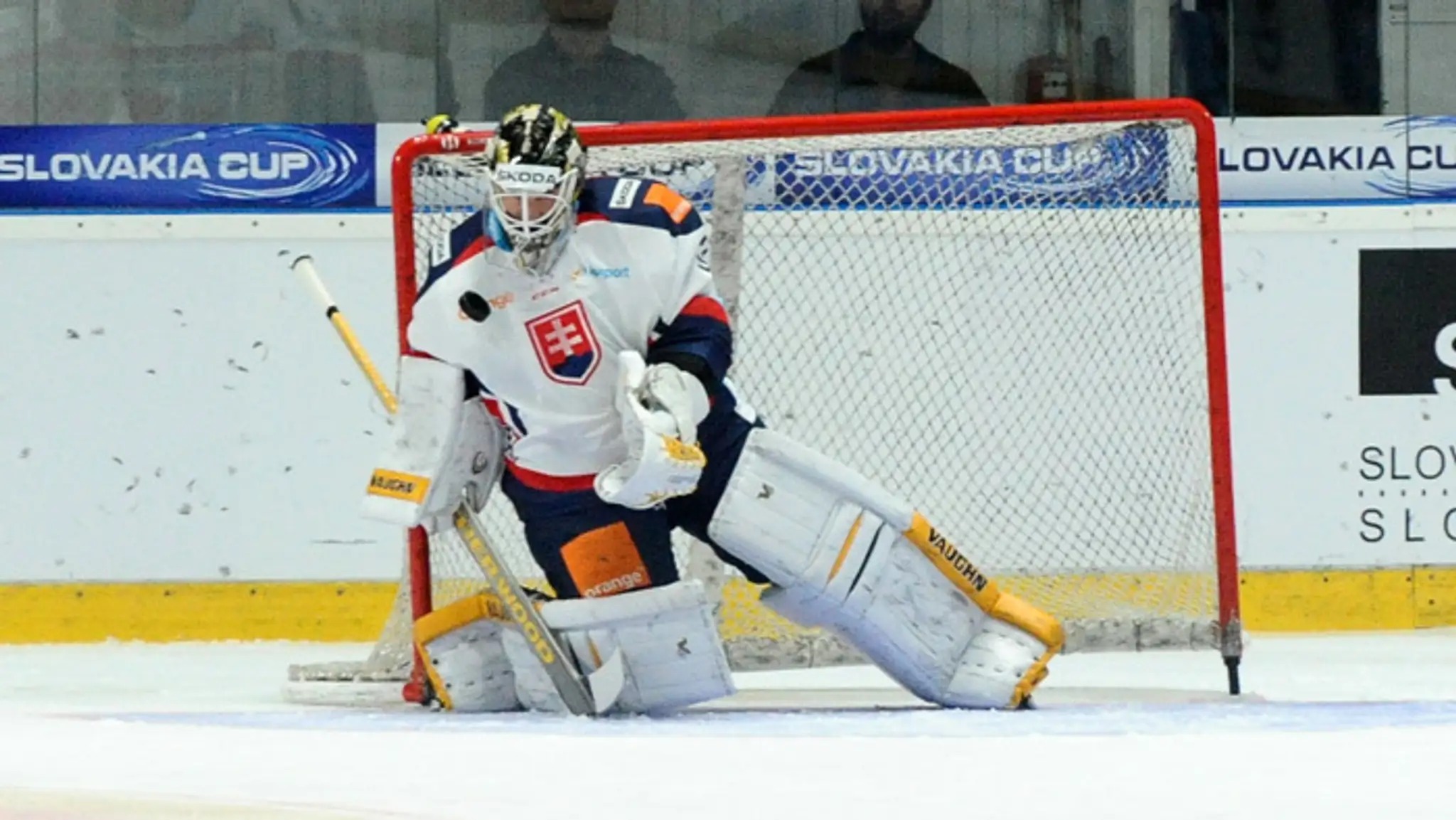 Brankár Slovenska Jaroslav Janus.