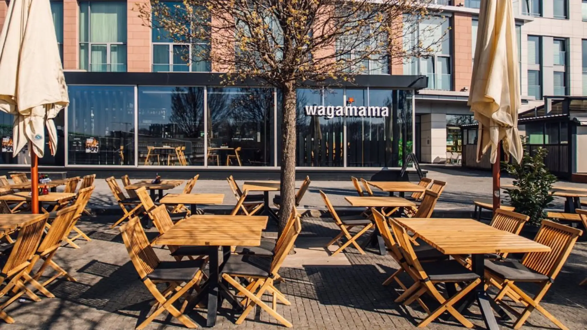 Na snímke je sieť Wagamama na Slovensku.