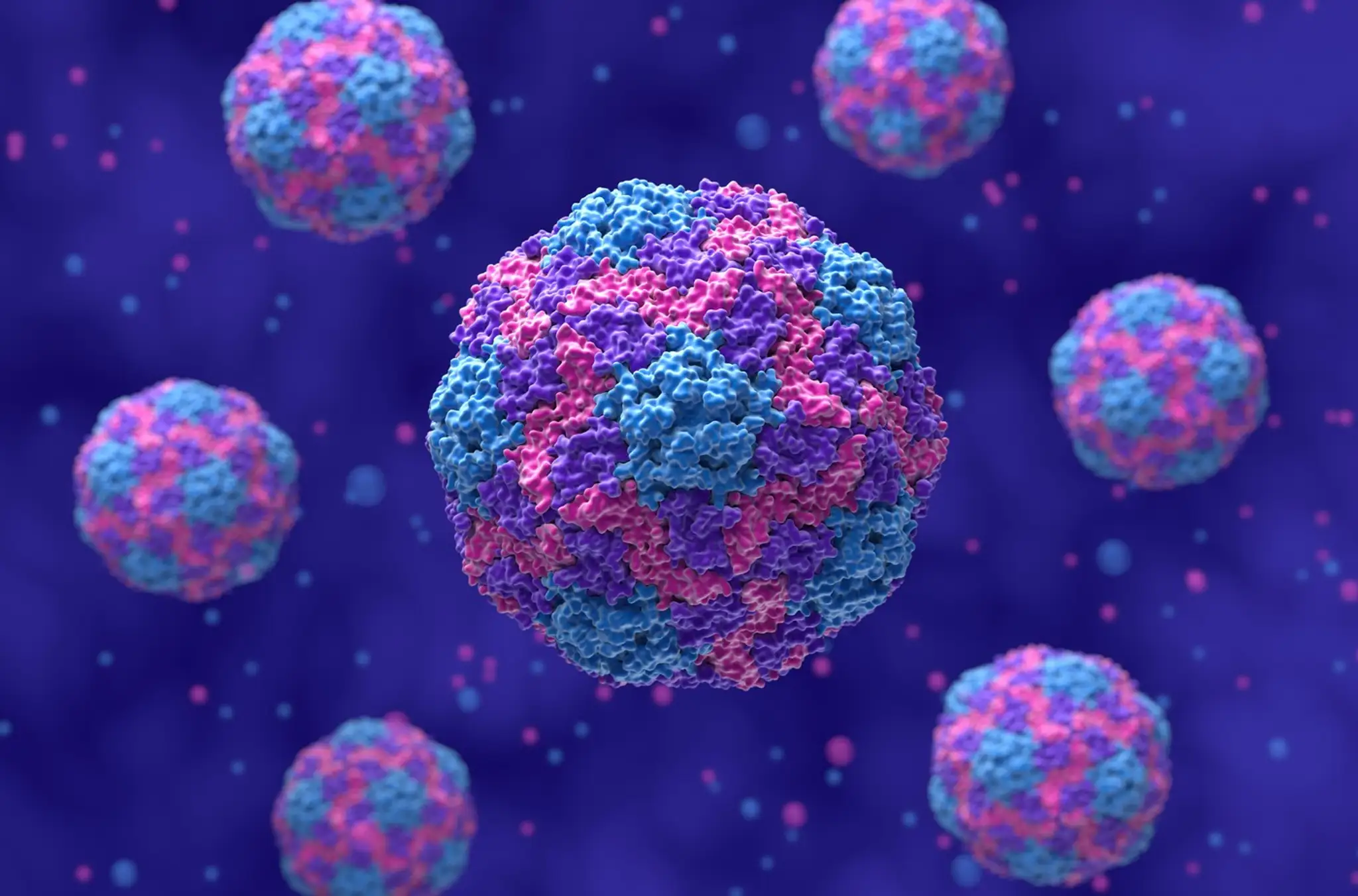 Vírus hepatitídy A (HAV) – 3D ilustrácia v polodetaile