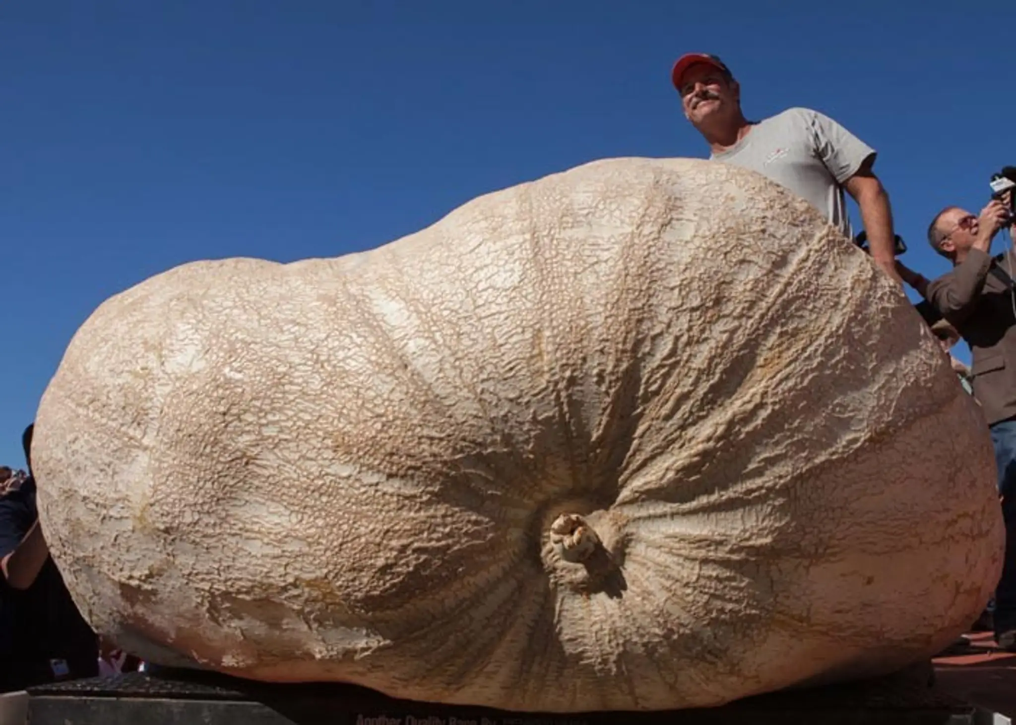 John Hawkley pózuje so svojou víťaznou tekvicou, ktorá váži 933,5 kilogramu, počas 41. majstrovstiev sveta pestovateľov tekvíc v