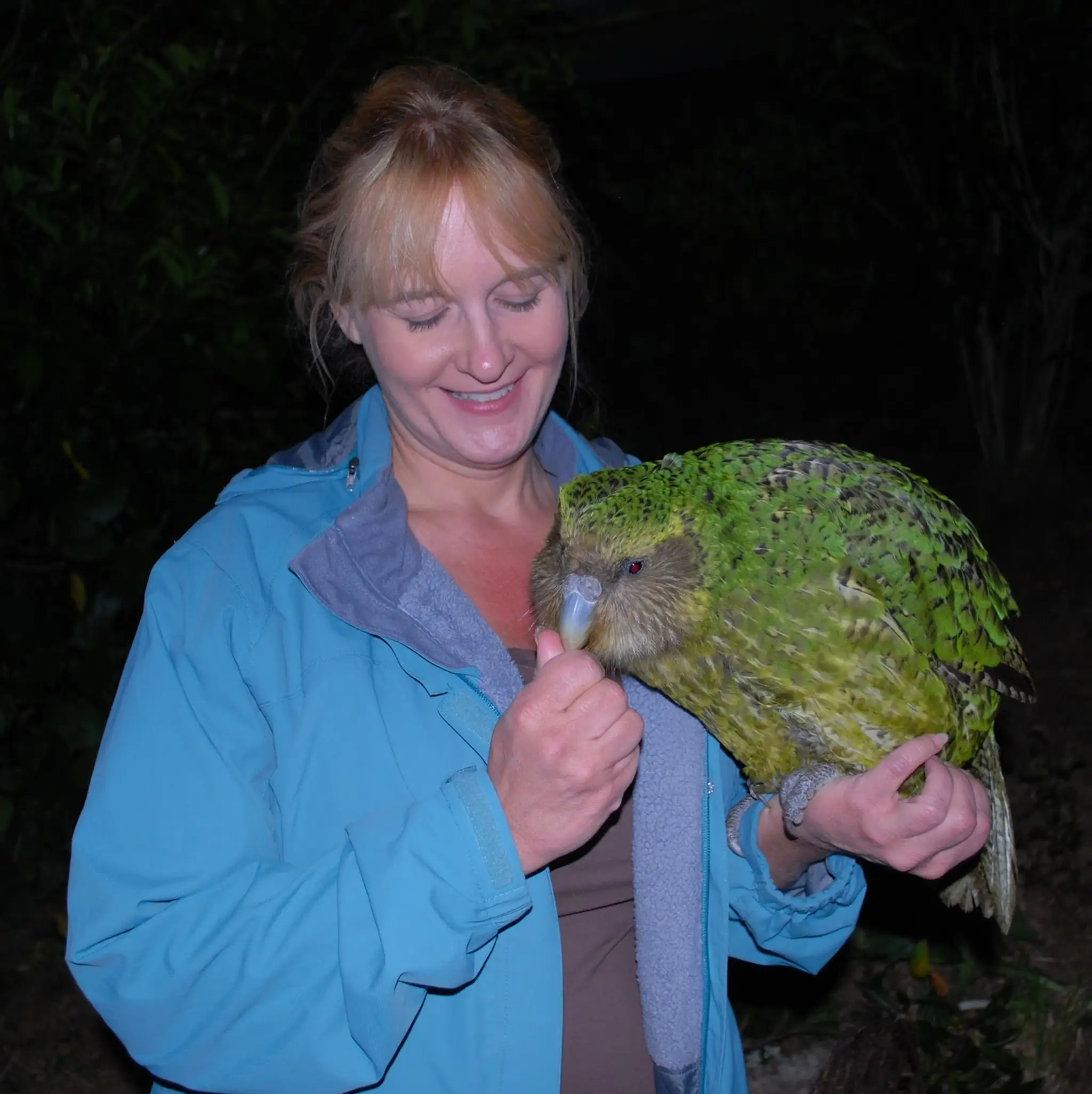 kakapo.jpg