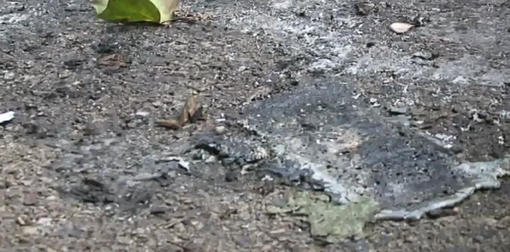 Pitva preukázala, že plod zomrel ešte pred narodením