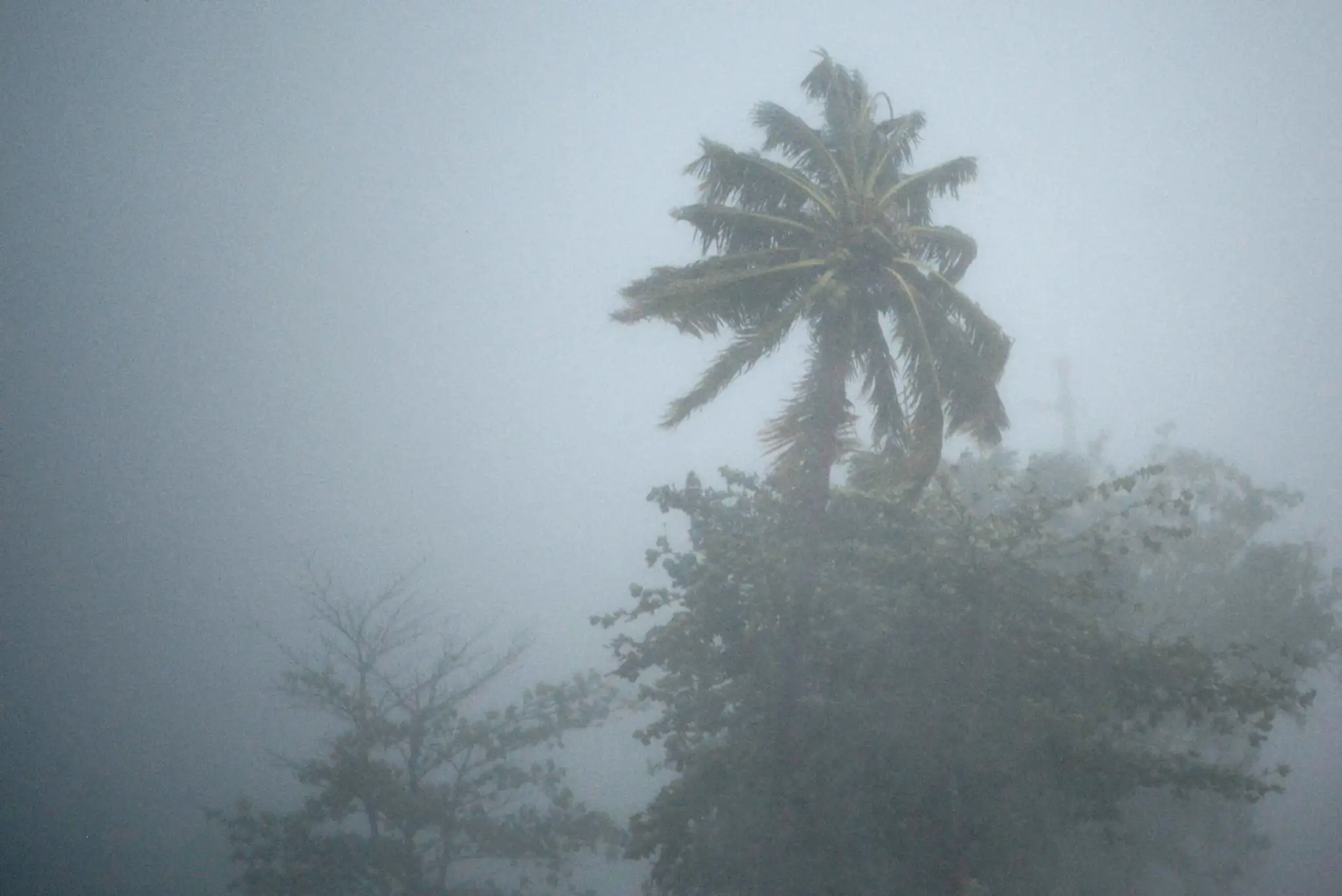 ´Puerto Rico.