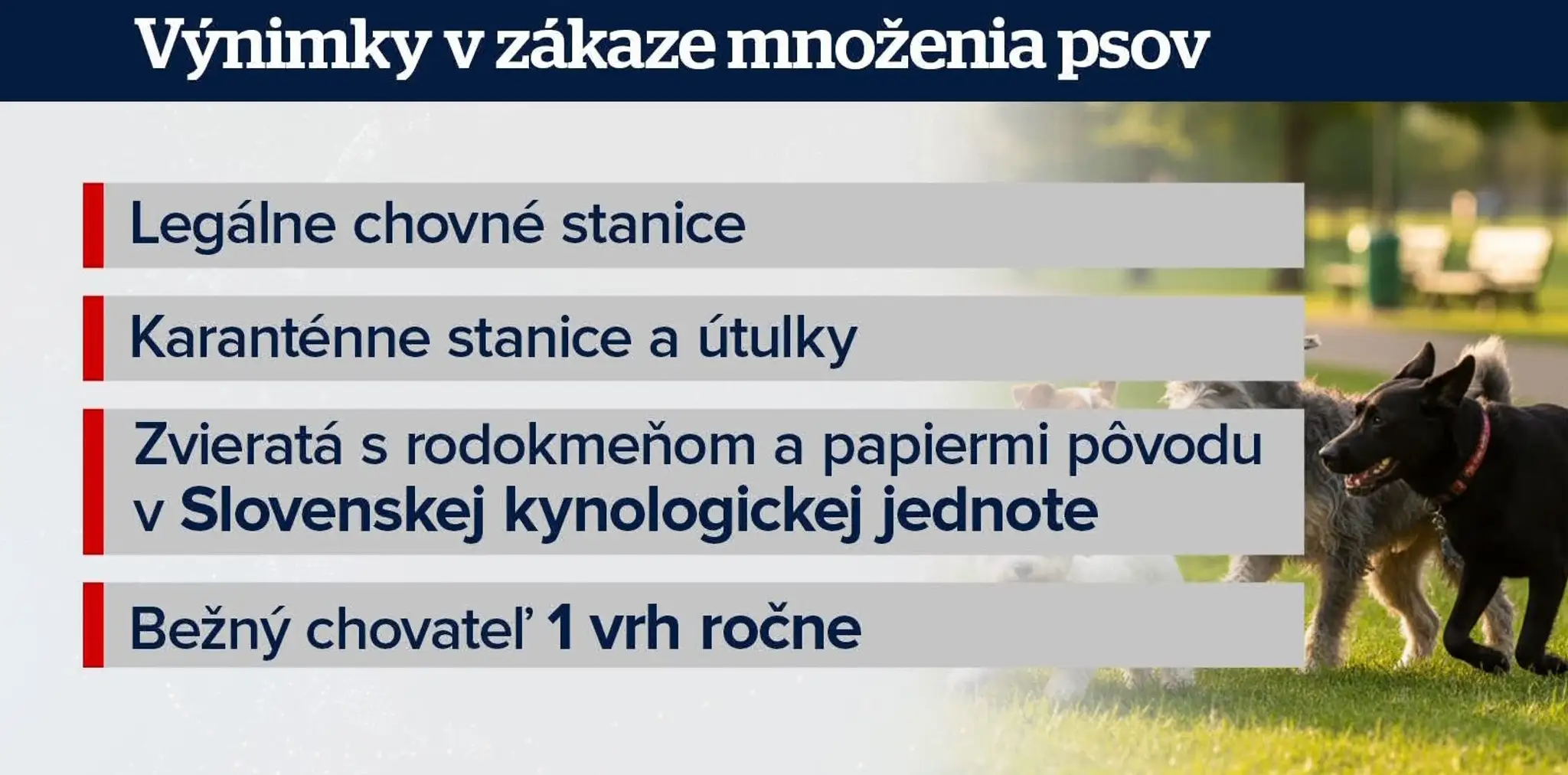 Výnimky v zákaze množenia psov