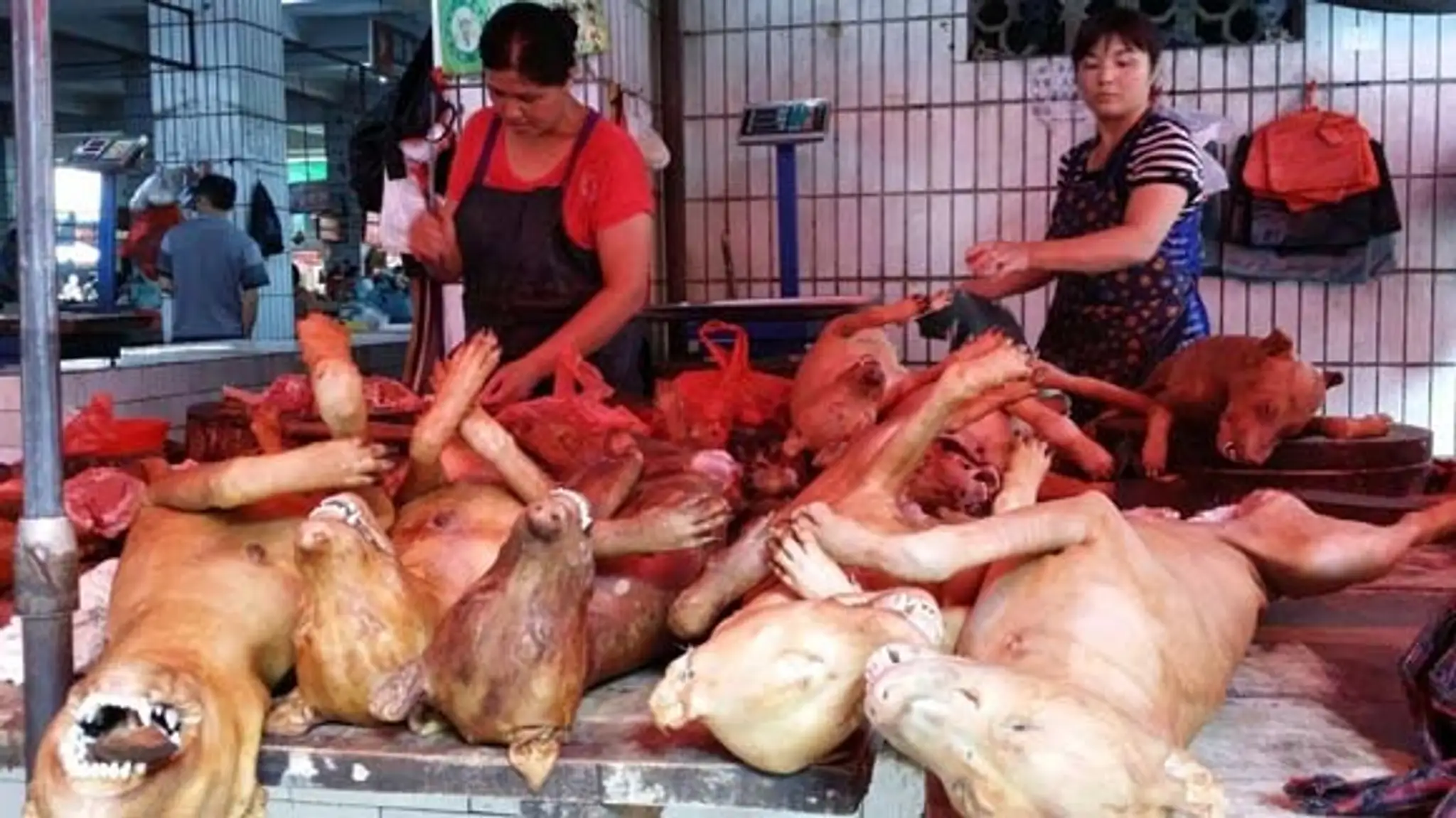 Čínsky festival jedenia psieho mäsa v meste Yulin
