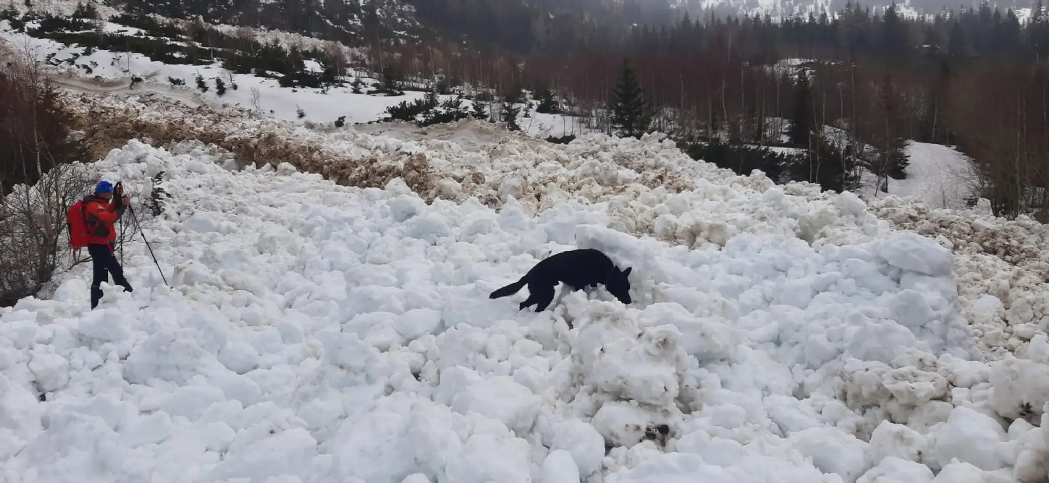 V Žiarskej doline spadla lavína