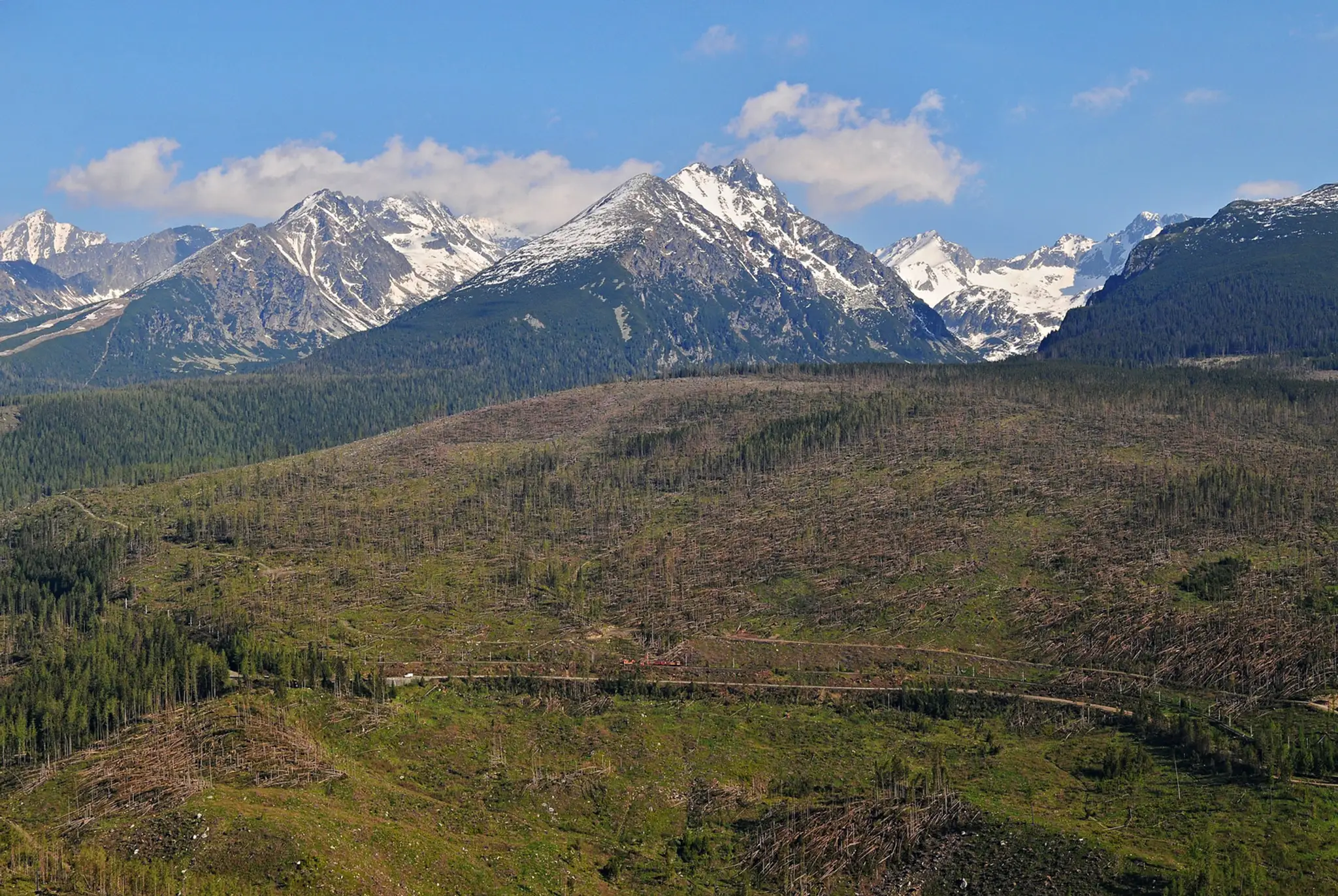 Tatry po víchrici