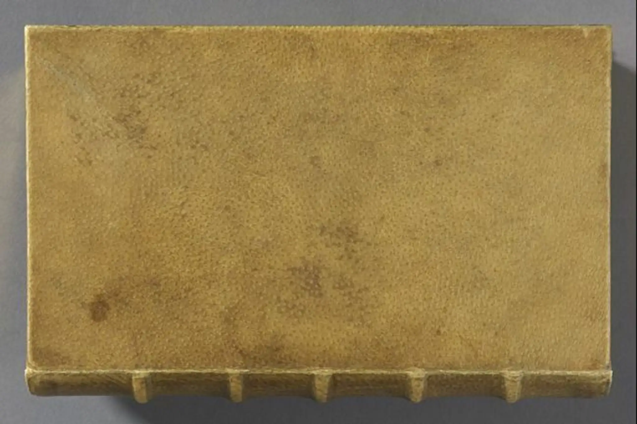 human_skin_book.jpg