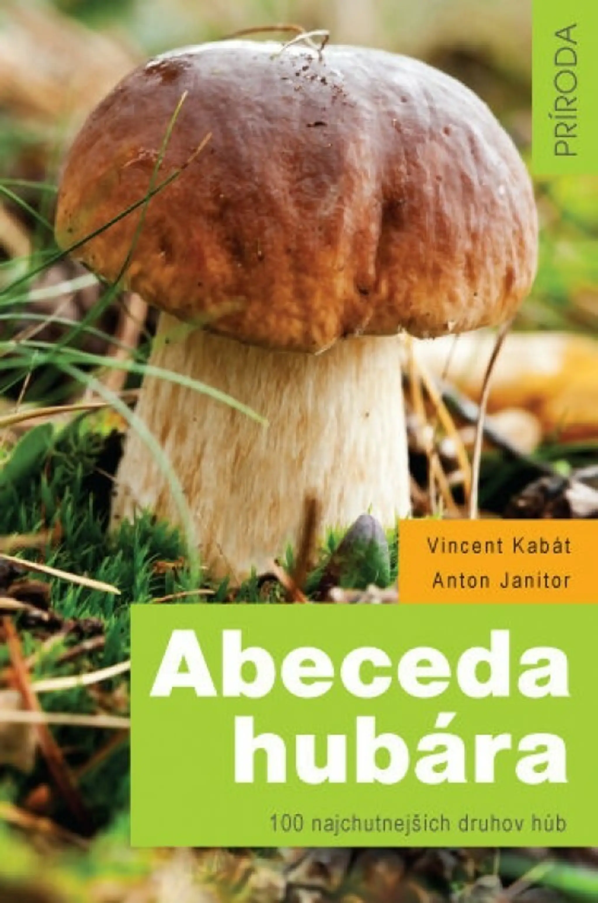 abeceda hubara.jpg