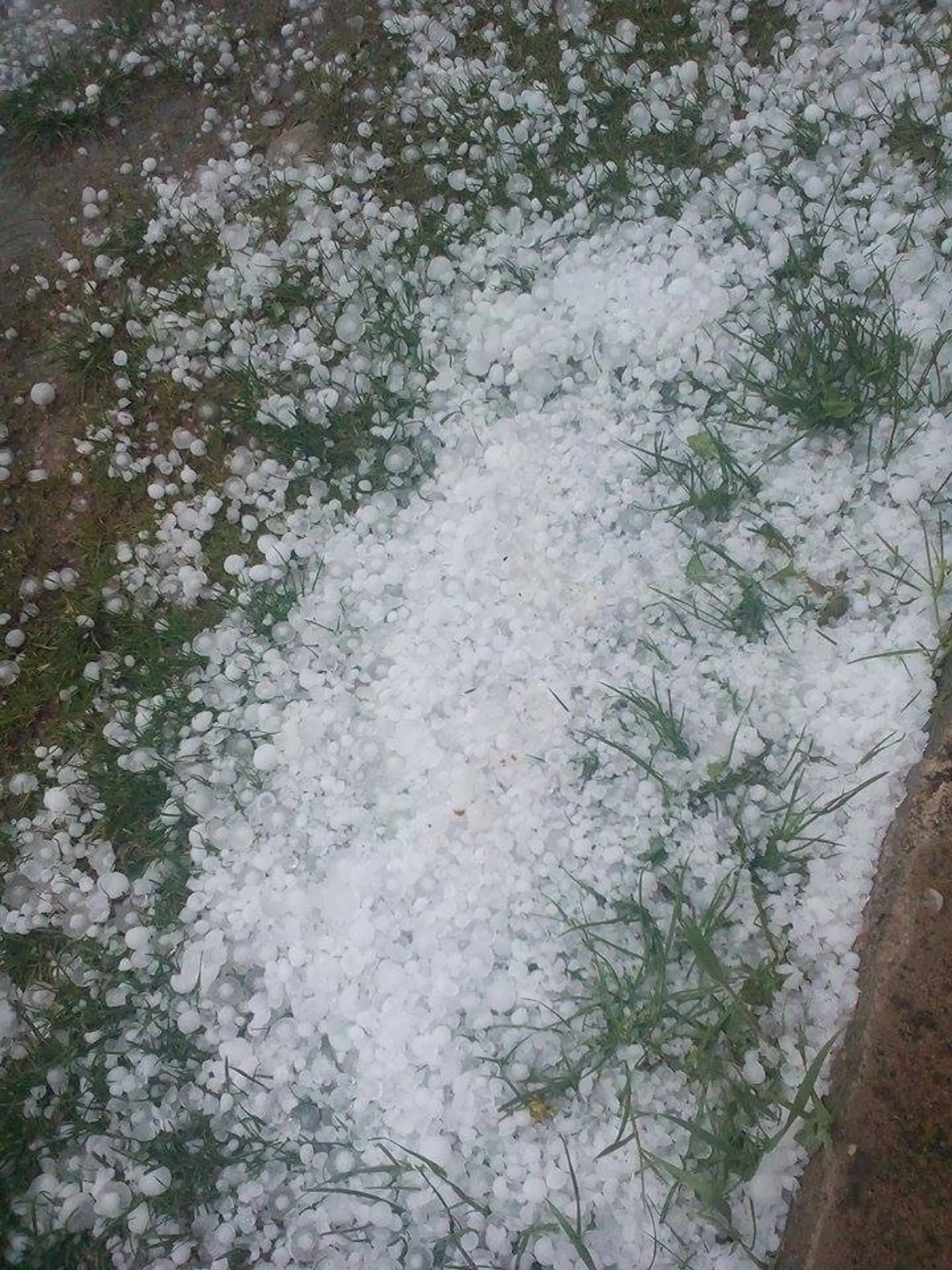 Brutovce.