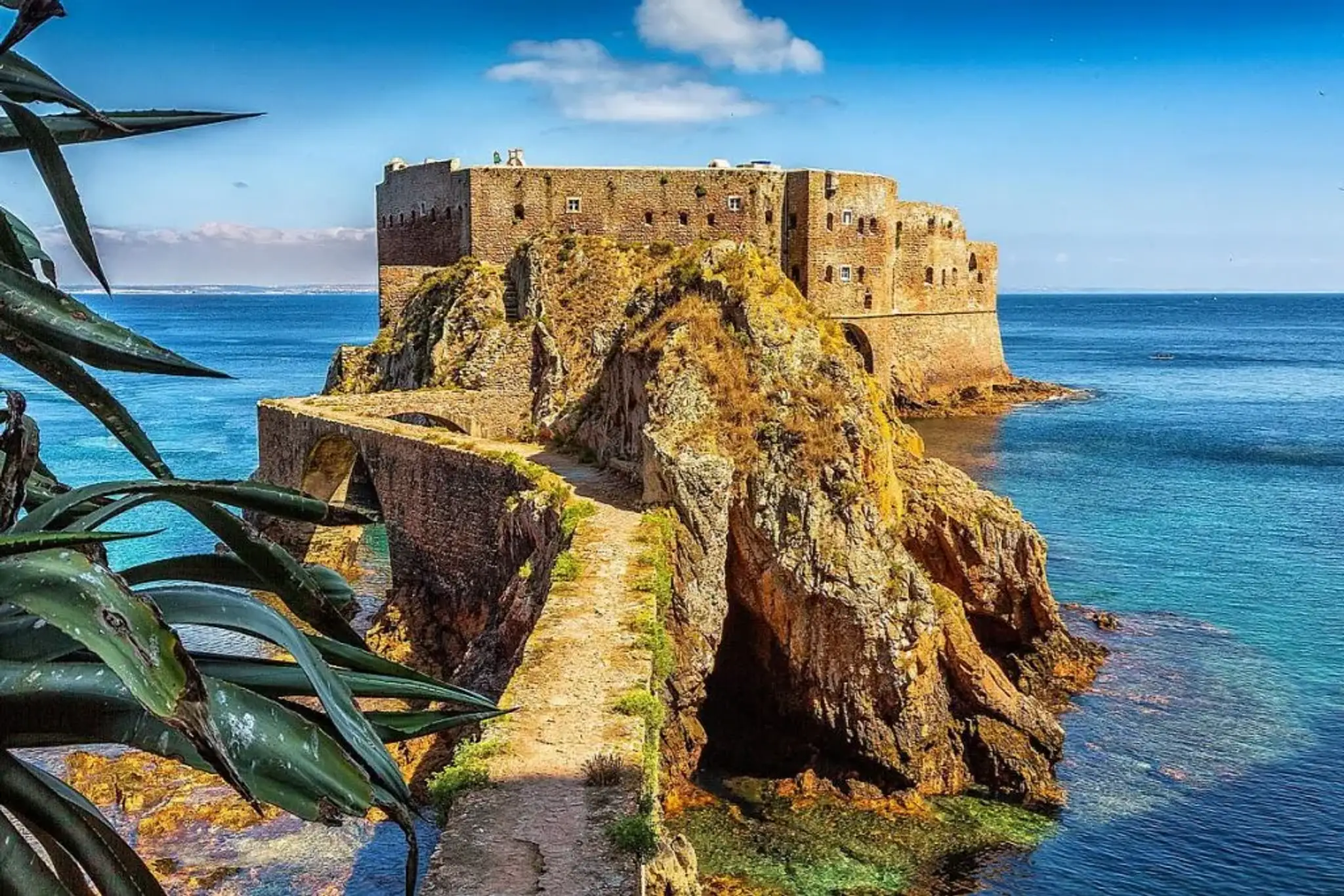 Berlengas.
