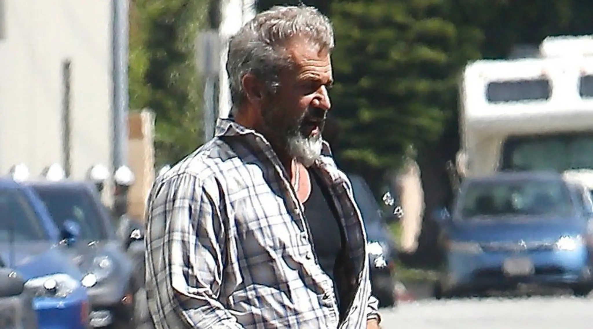 mel.jpg