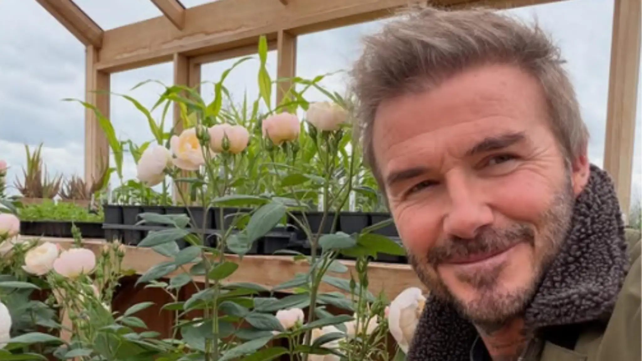 David Beckham vo svojej ružovej záhrade.