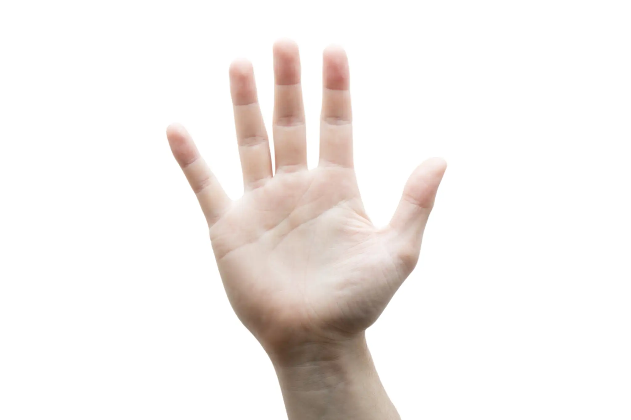 shutterstock_571536034.jpg