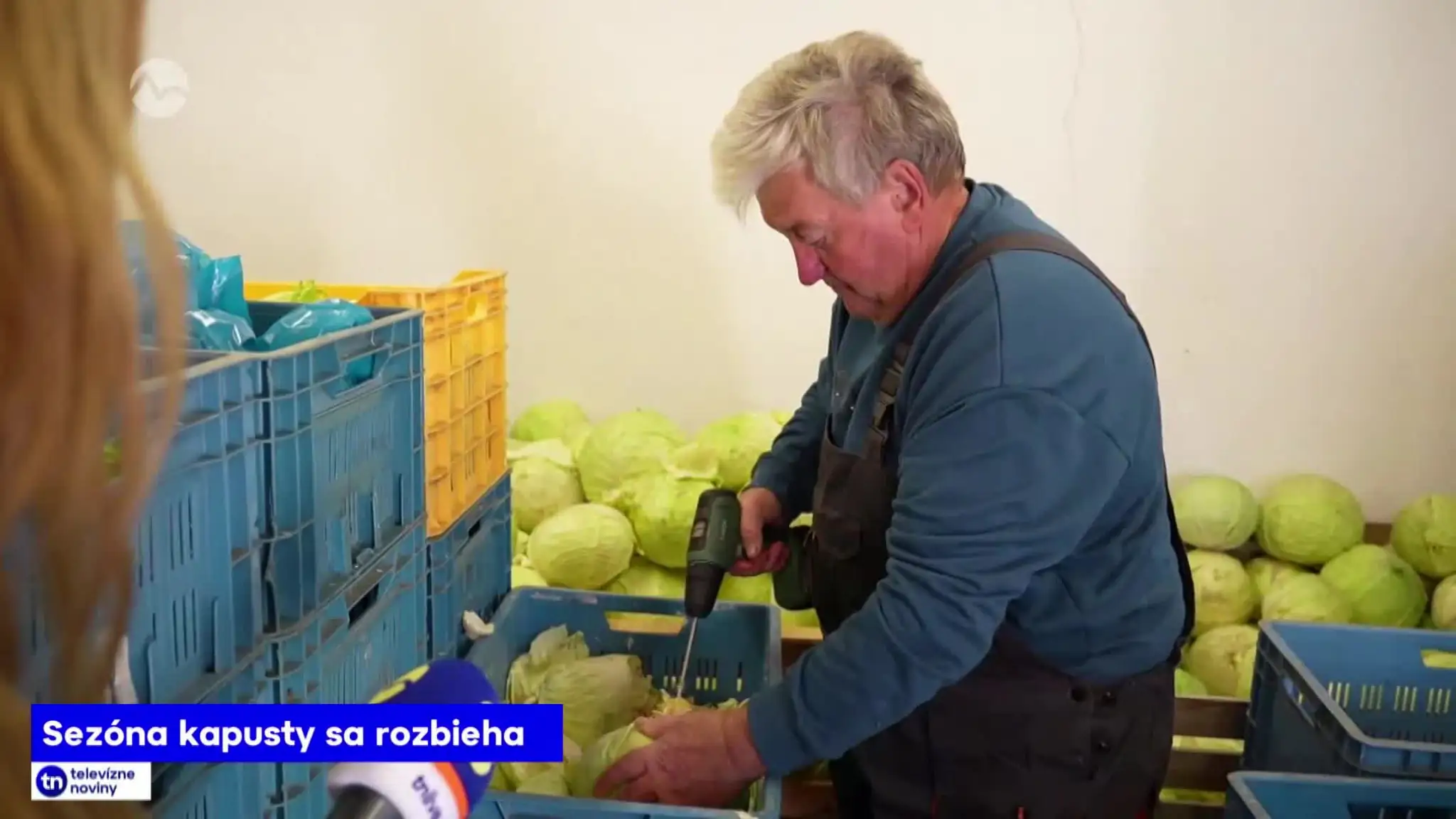 2026-10-12-TN-15-Sezona-kapusty-sa-rozbieha