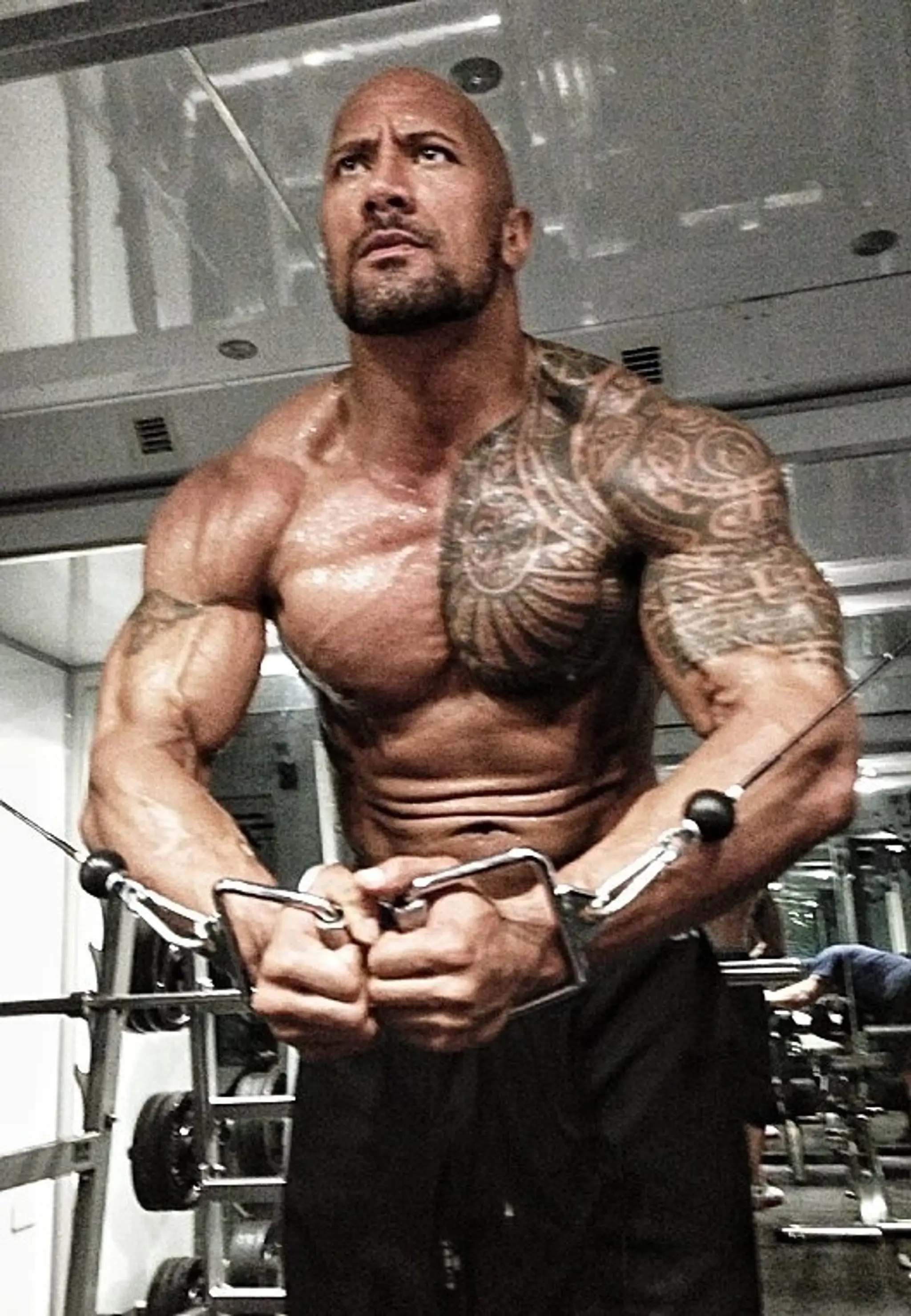 dwayne2.jpg