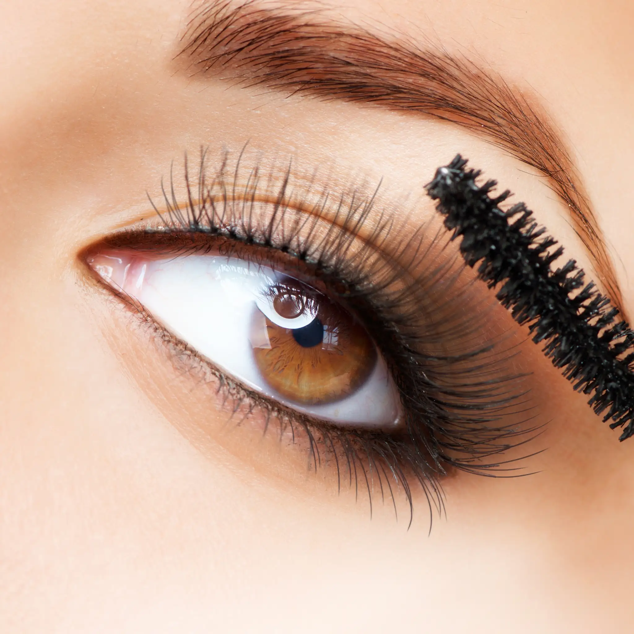 shutterstock_107087048.jpg