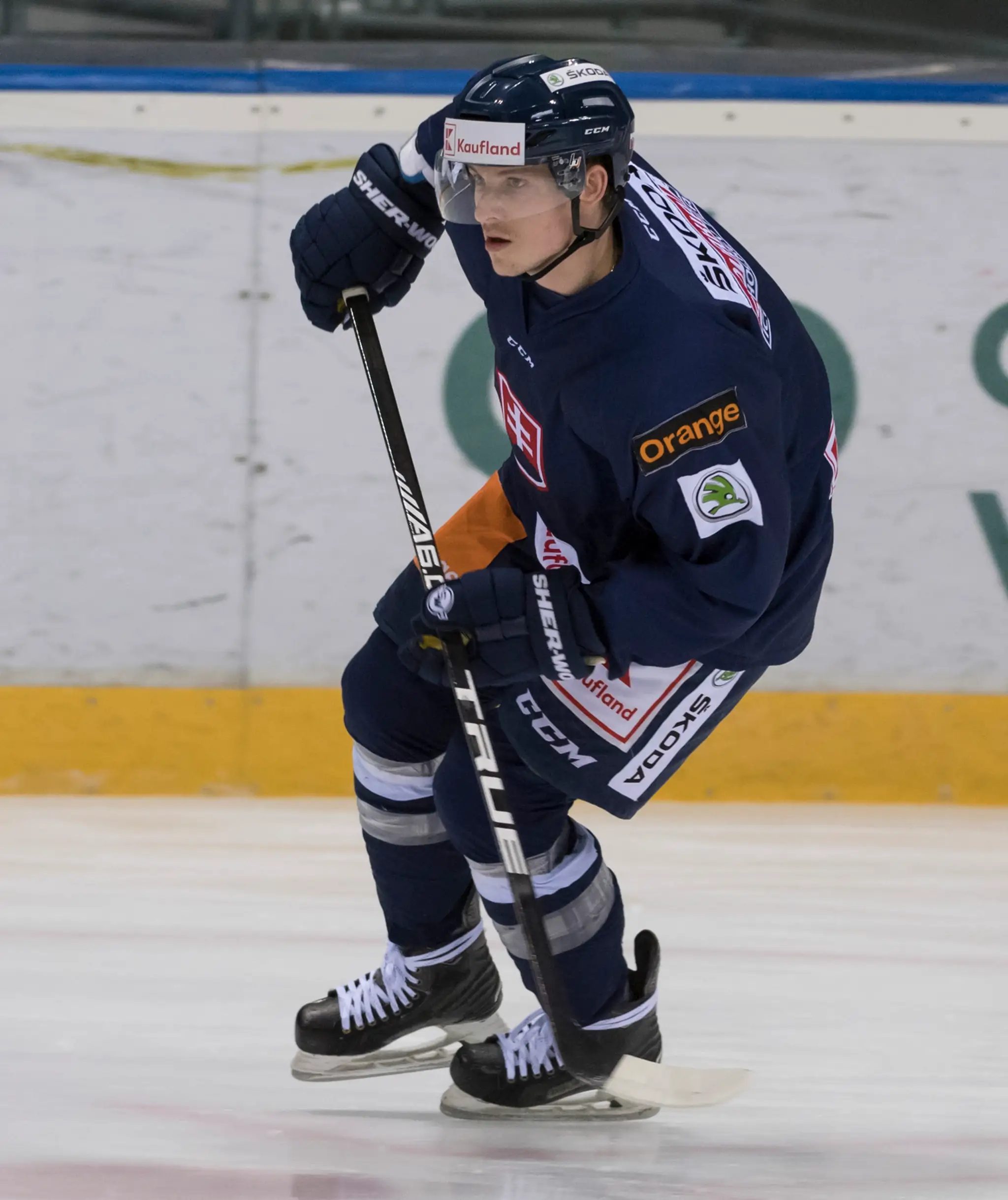 Slovenský hokejista David Bondra.