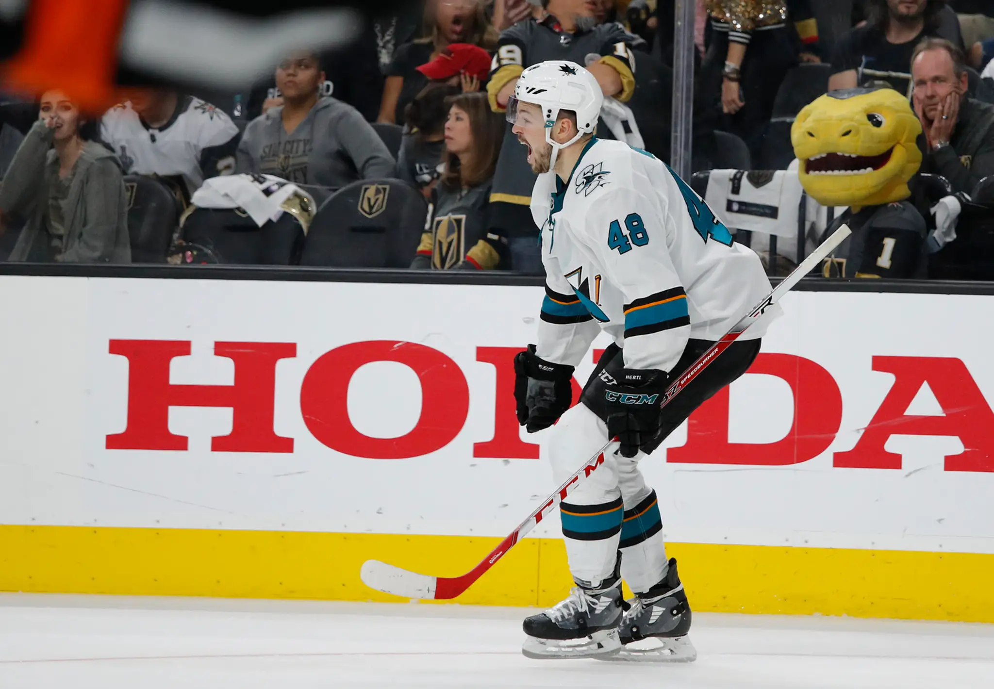 Tomáš Hertl zo San Jose oslavuje gól v 1. kole play off proti Vegasu.