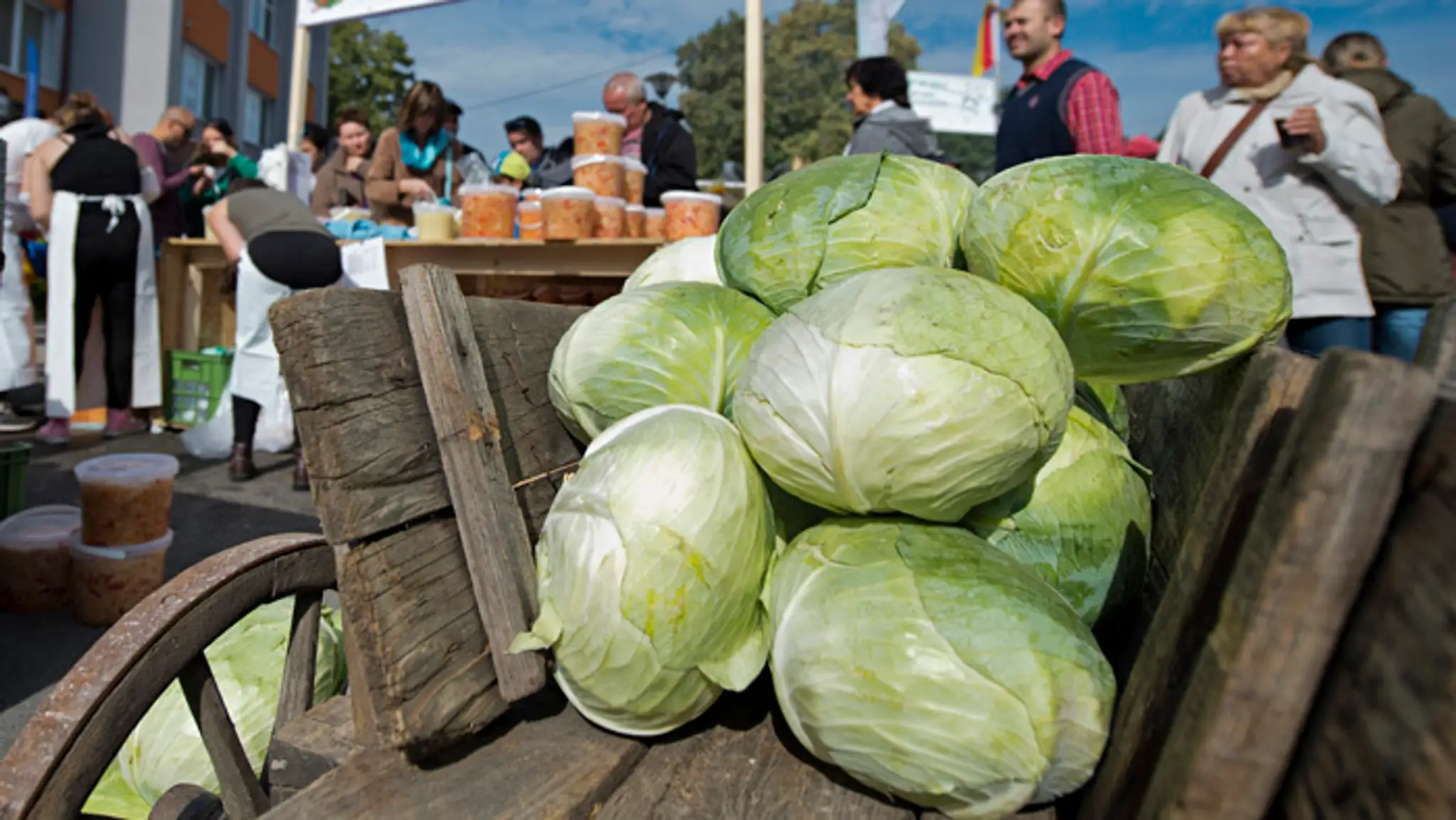Dni zelá v Stupave.