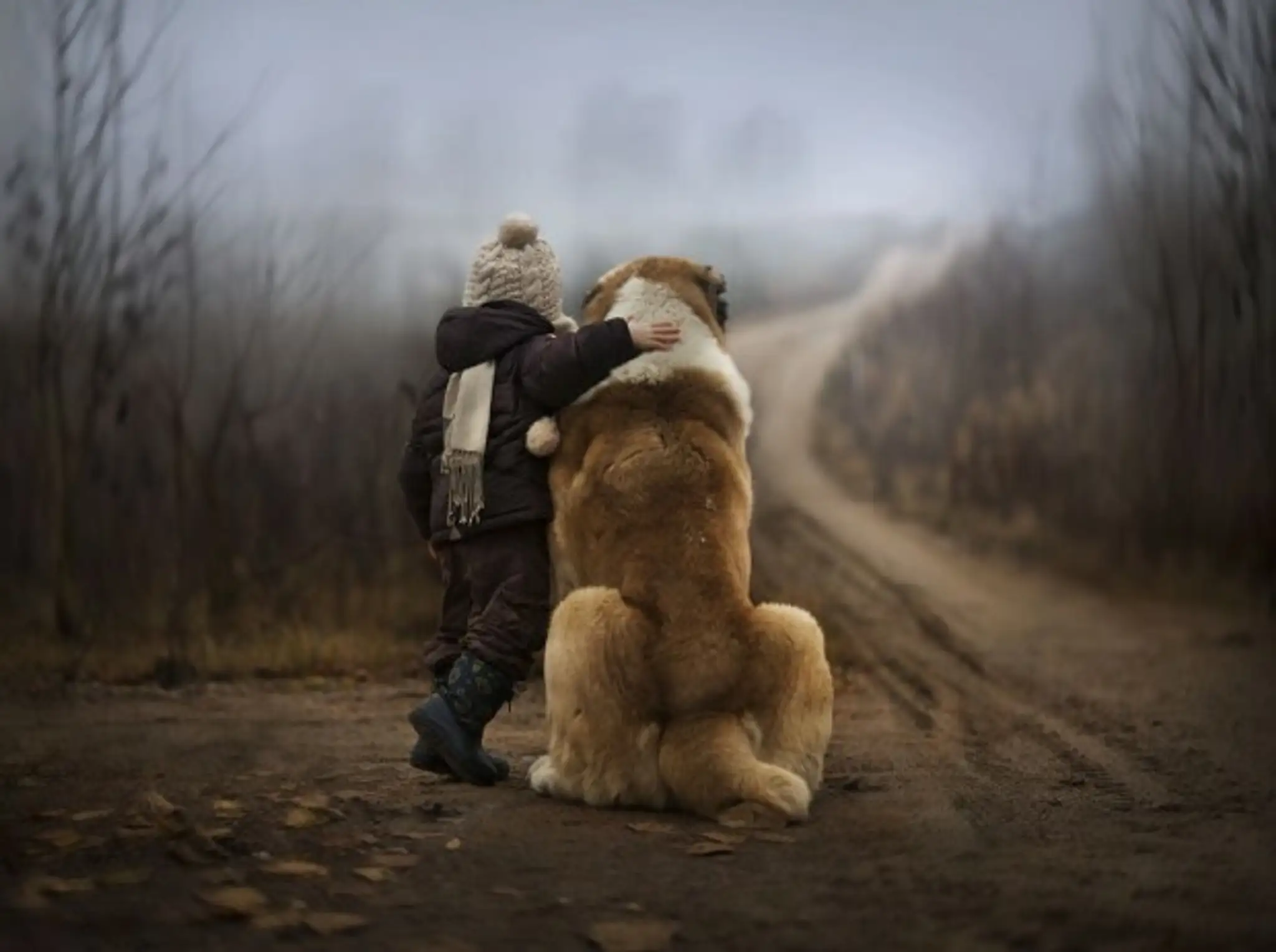 animal-children-photography-elena-shumilova-2-620x463.jpg