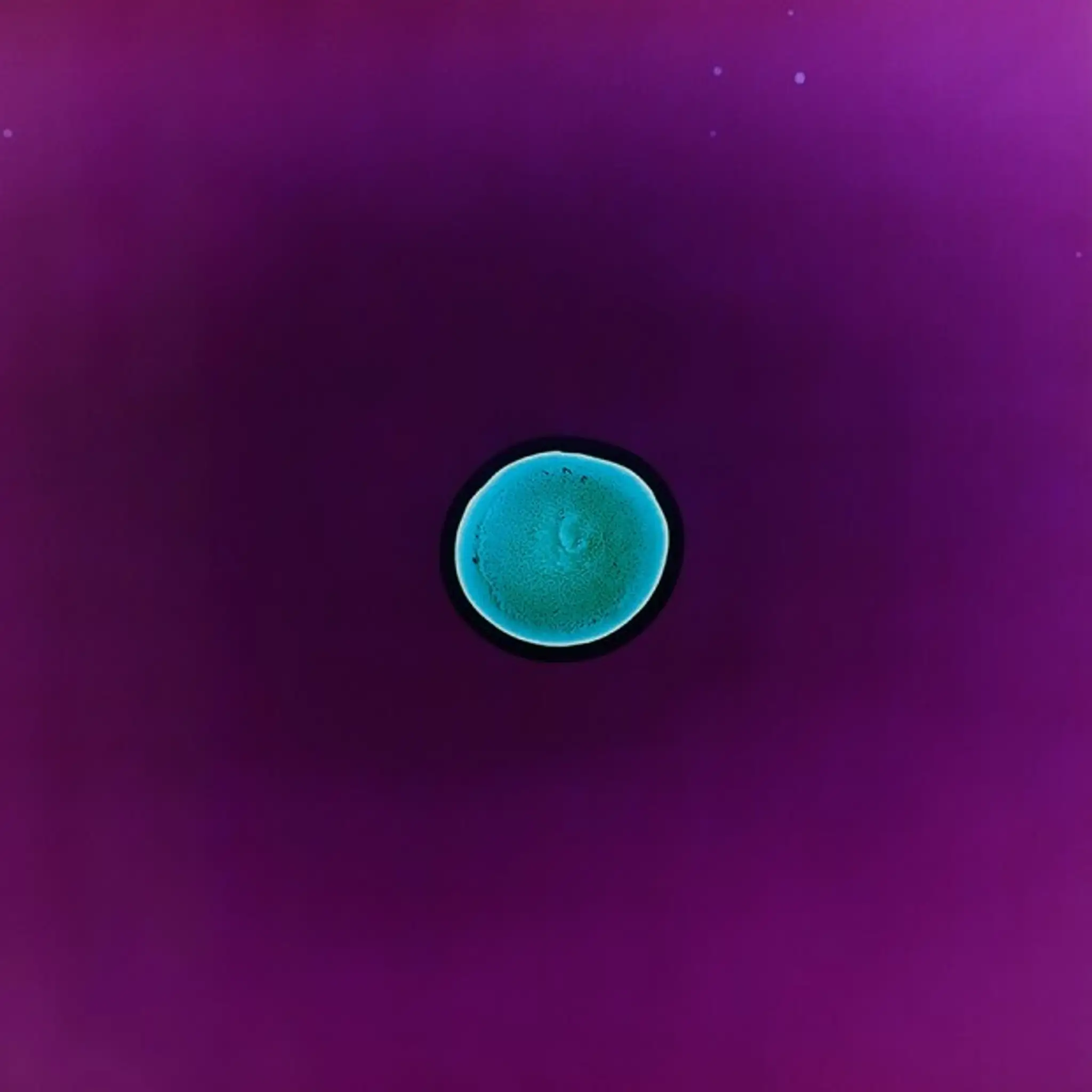 lsd.jpg