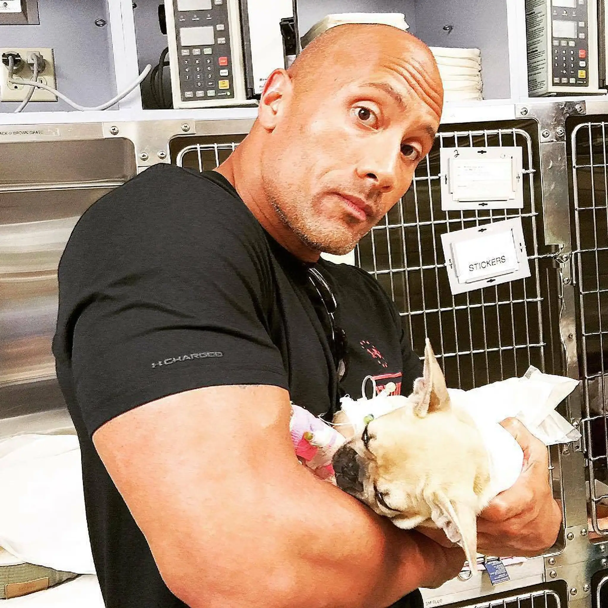 Dwayne Johnson musel dať utratiť svojho Brutusa.