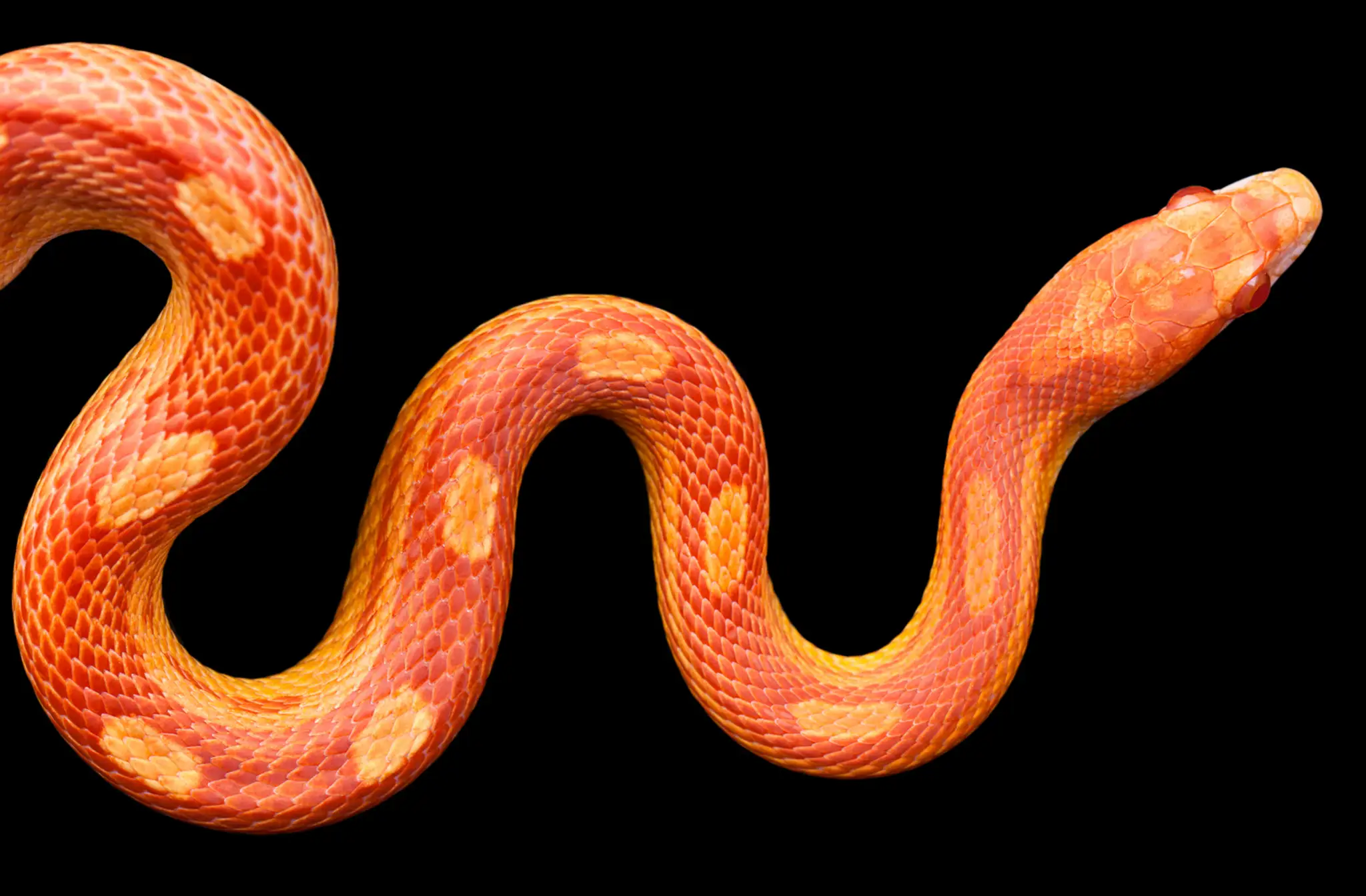 shutterstock_161643476.jpg