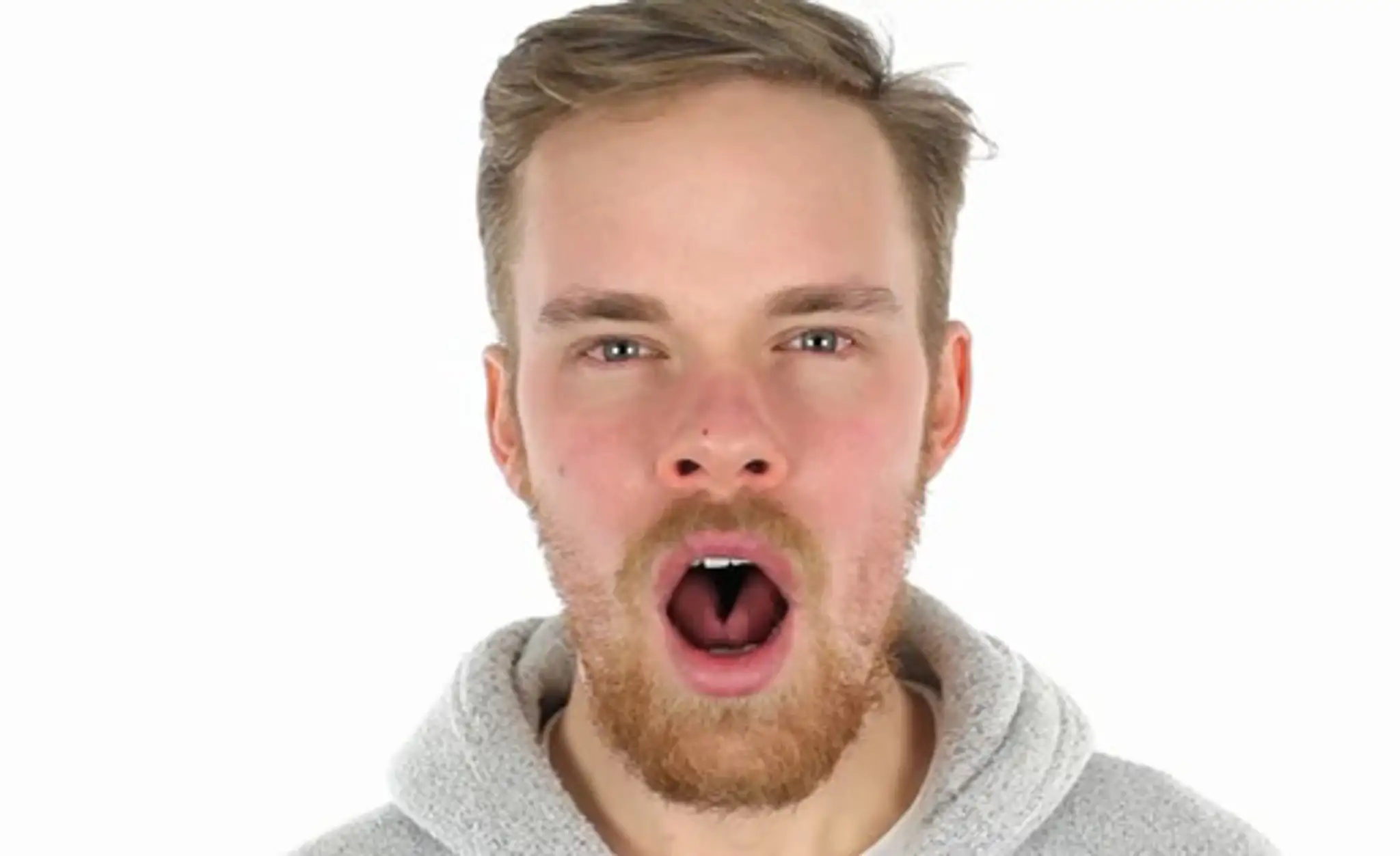 zivanie.jpg