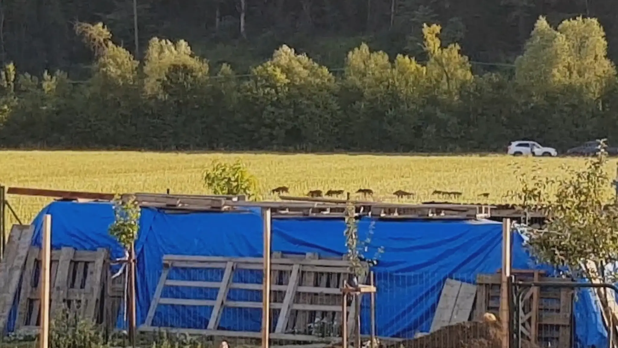 Záber zo seriálu Élite