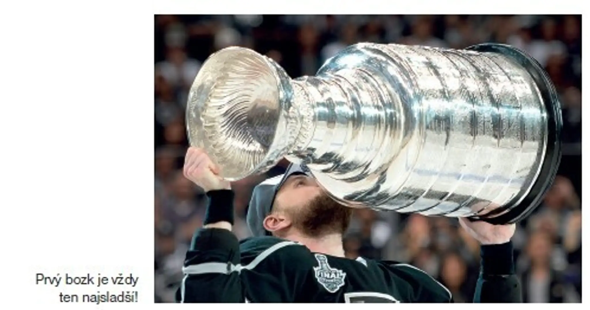 gaborik pohar.jpg