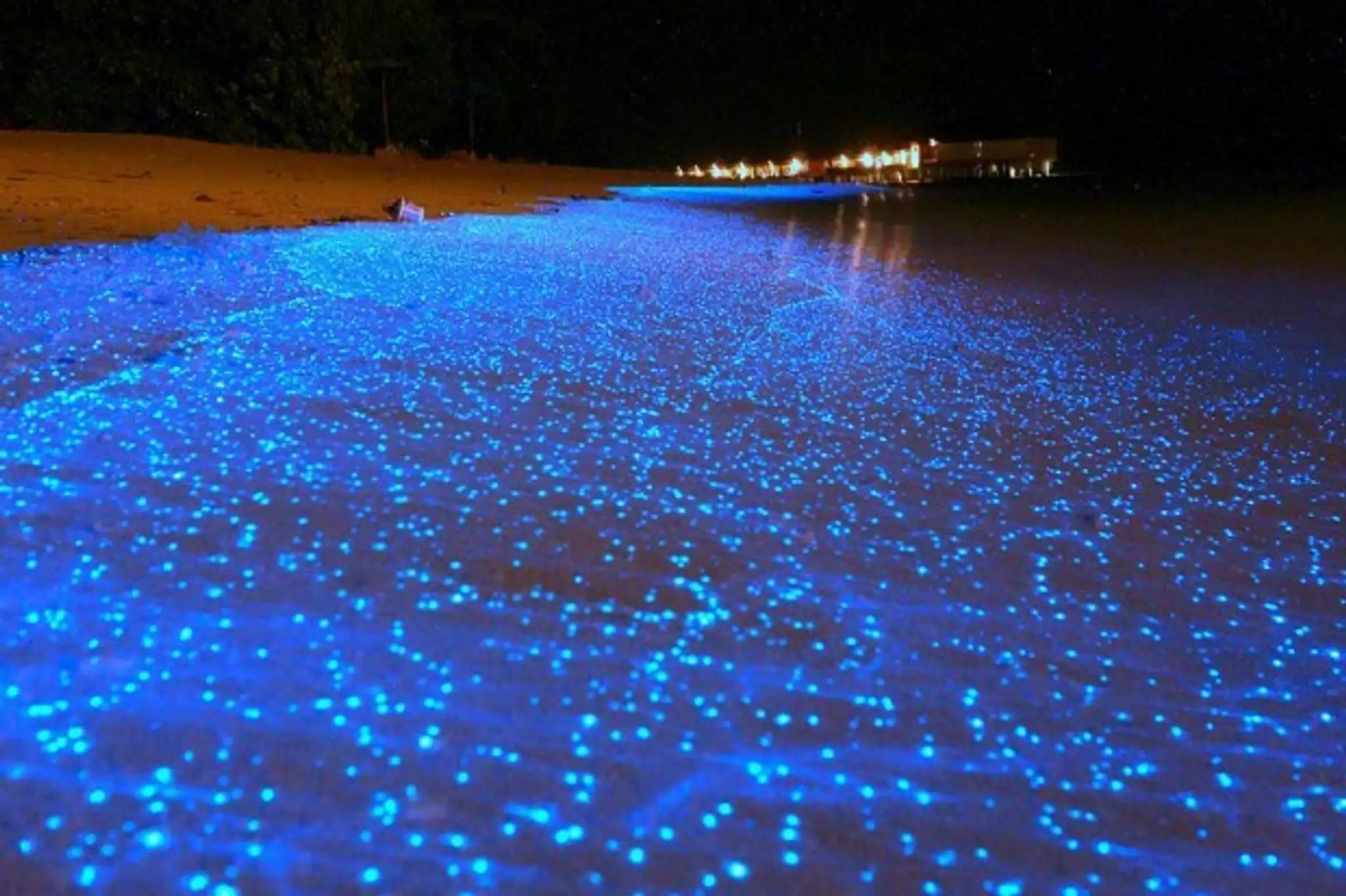 Maldivy