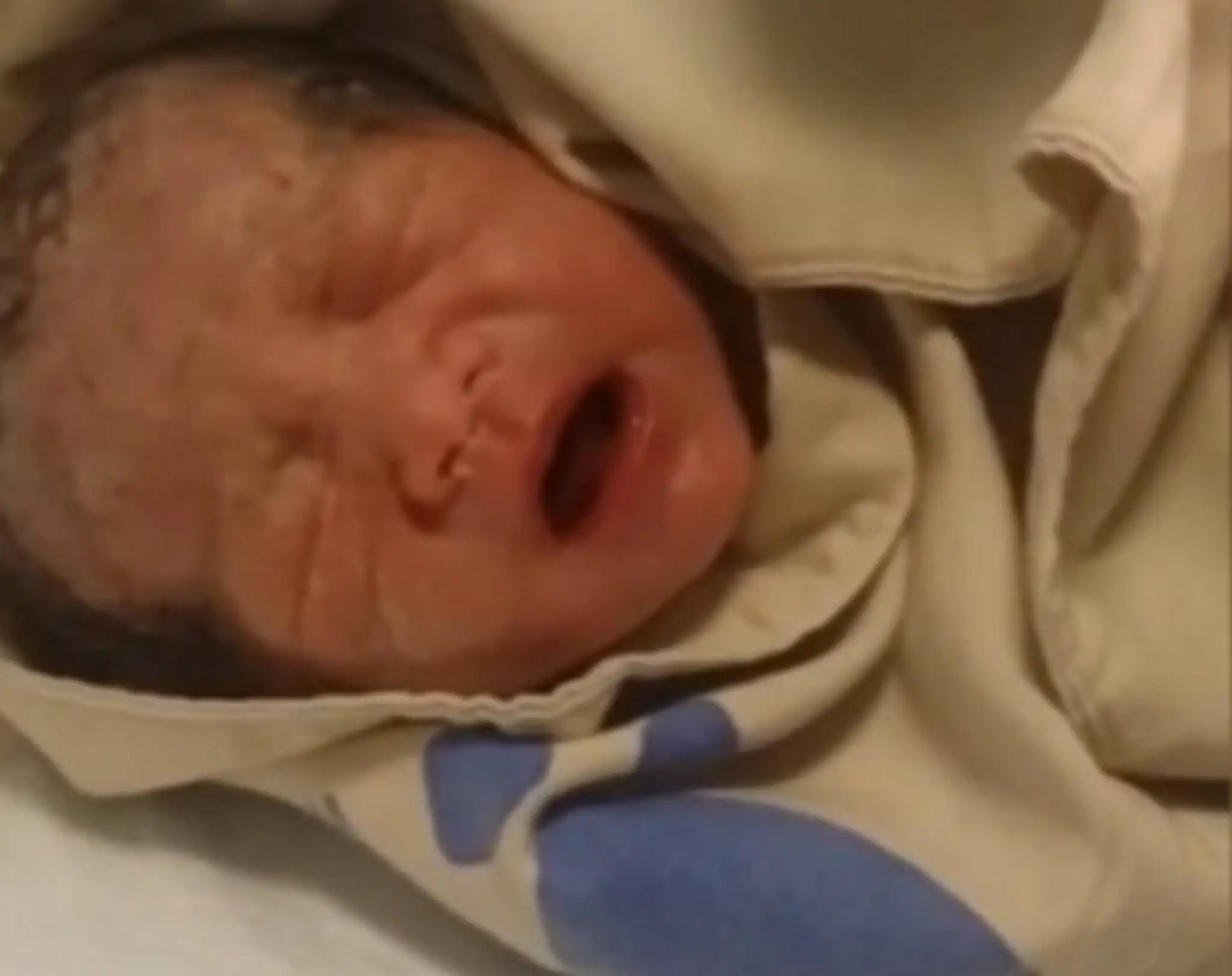 2690C95D00000578-2991513-The_newborn_baby_appears_to_be_inconsolable_while_crying_inside_-a-8_1426170526830.jpg