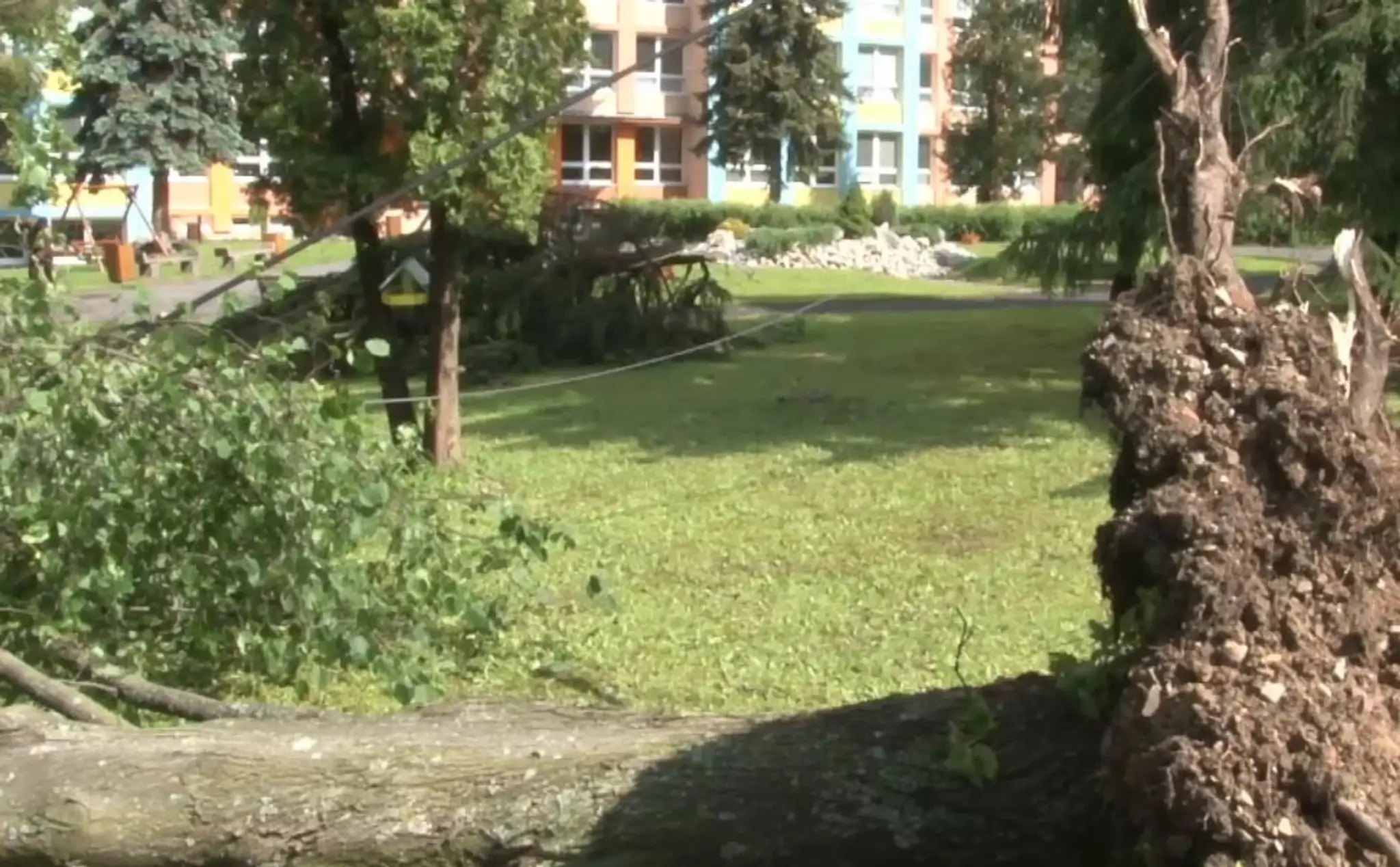 Pováľané stromy po víchrici.