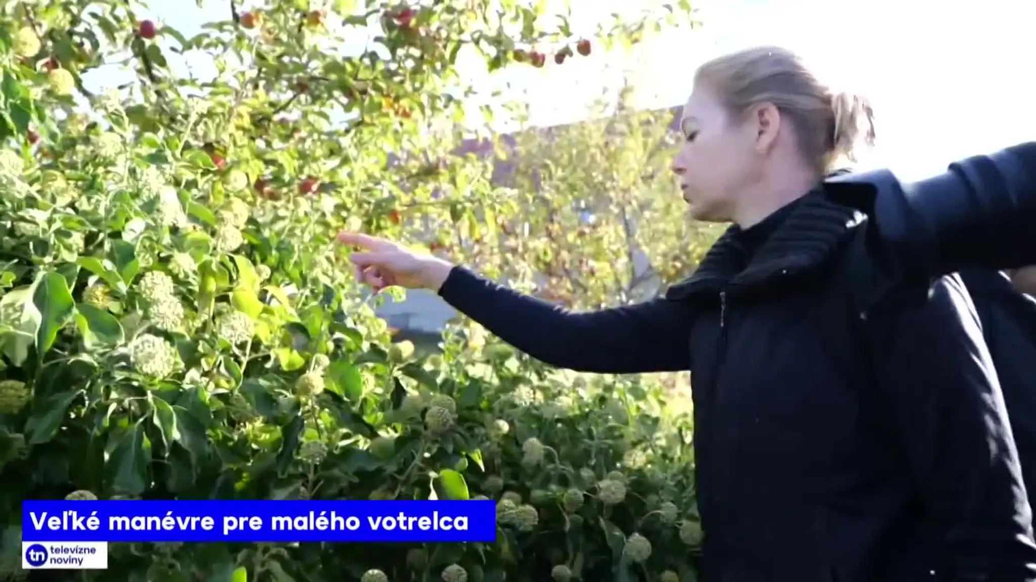 2026-10-13-TN-9-Velke-manevre-pre-maleho-votrelca