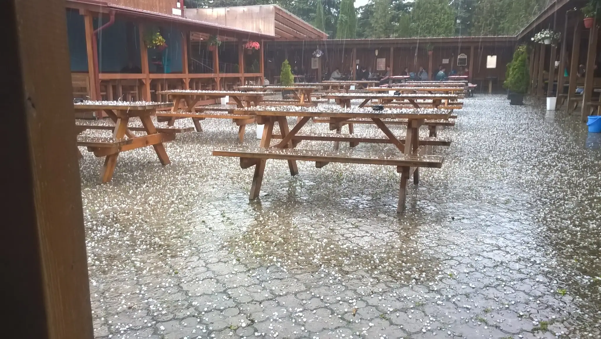 Ľadovec v Prešove.