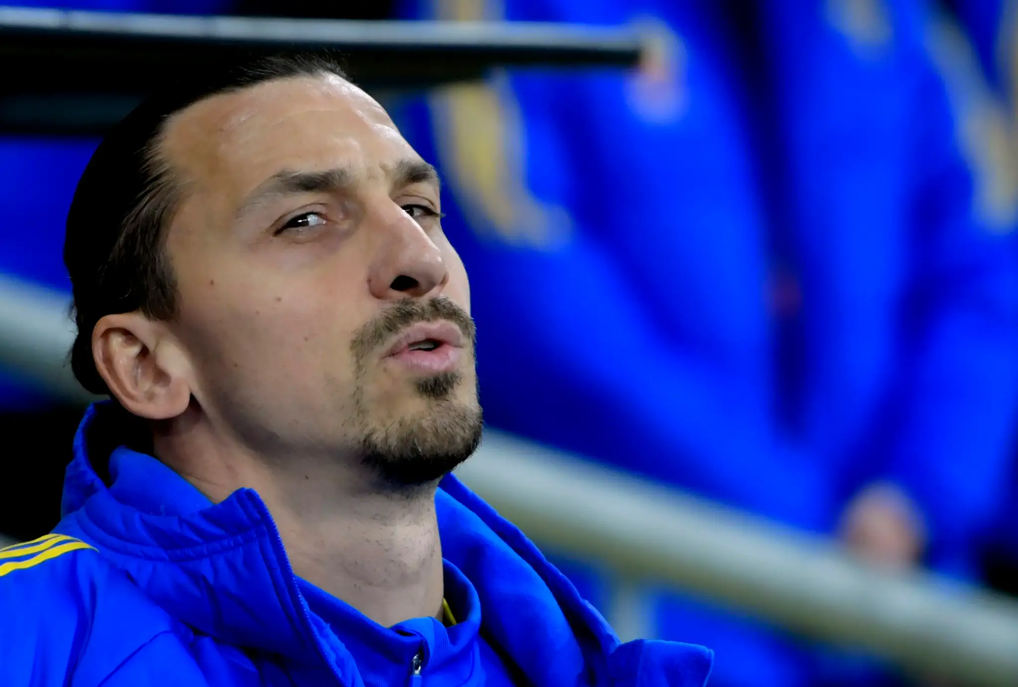Zlatan Ibrahimovič na lavičke Švédska pred kvalifikačným zápasom ME 2024 proti Belgicku.