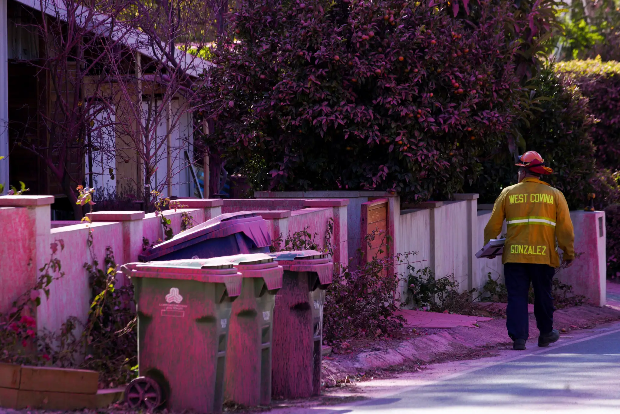 V Los Angeles zhadzujú lietadlá ružový prášok