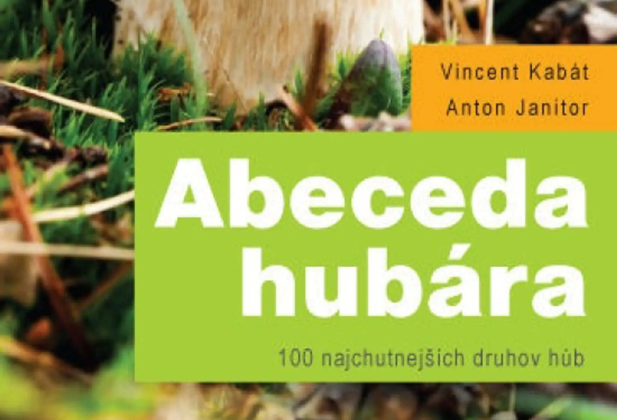 Huby.jpg
