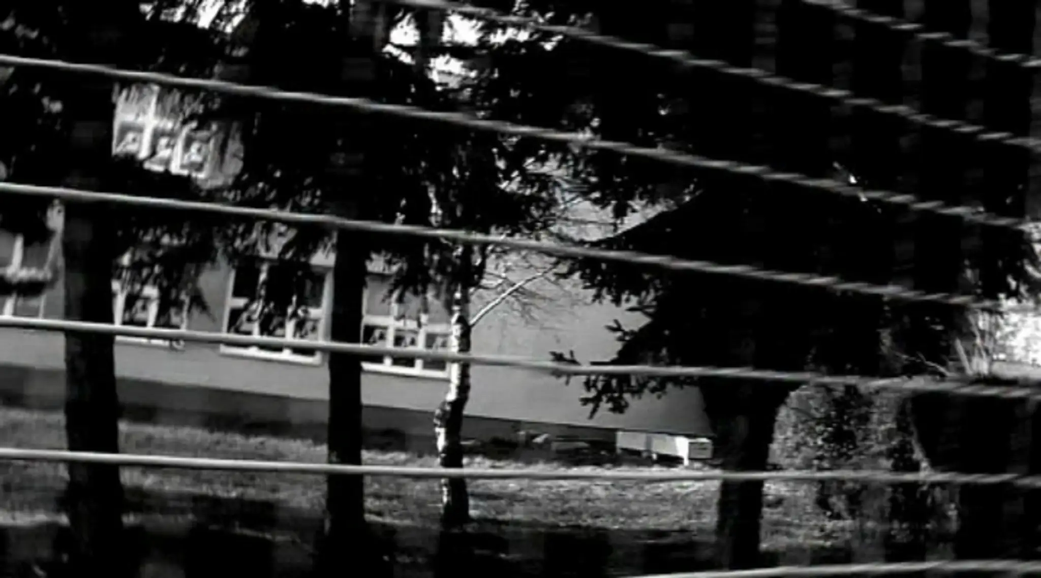 Škola