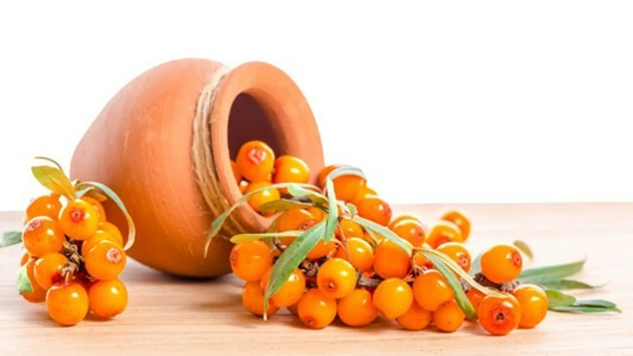 rakytnik-to-nie-je-len-vitaminova-bomba.jpg