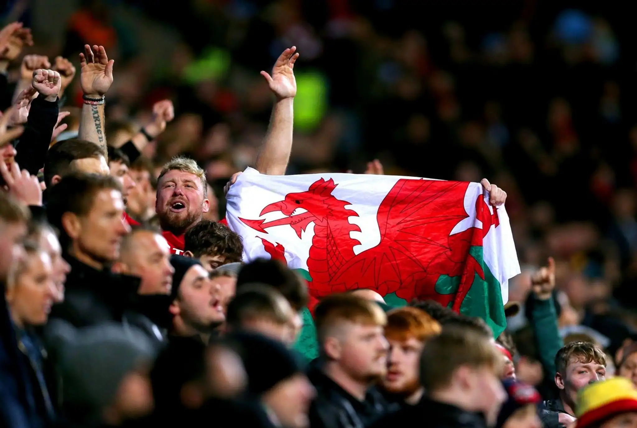 Fanúšikovia Walesu na FA Cupe