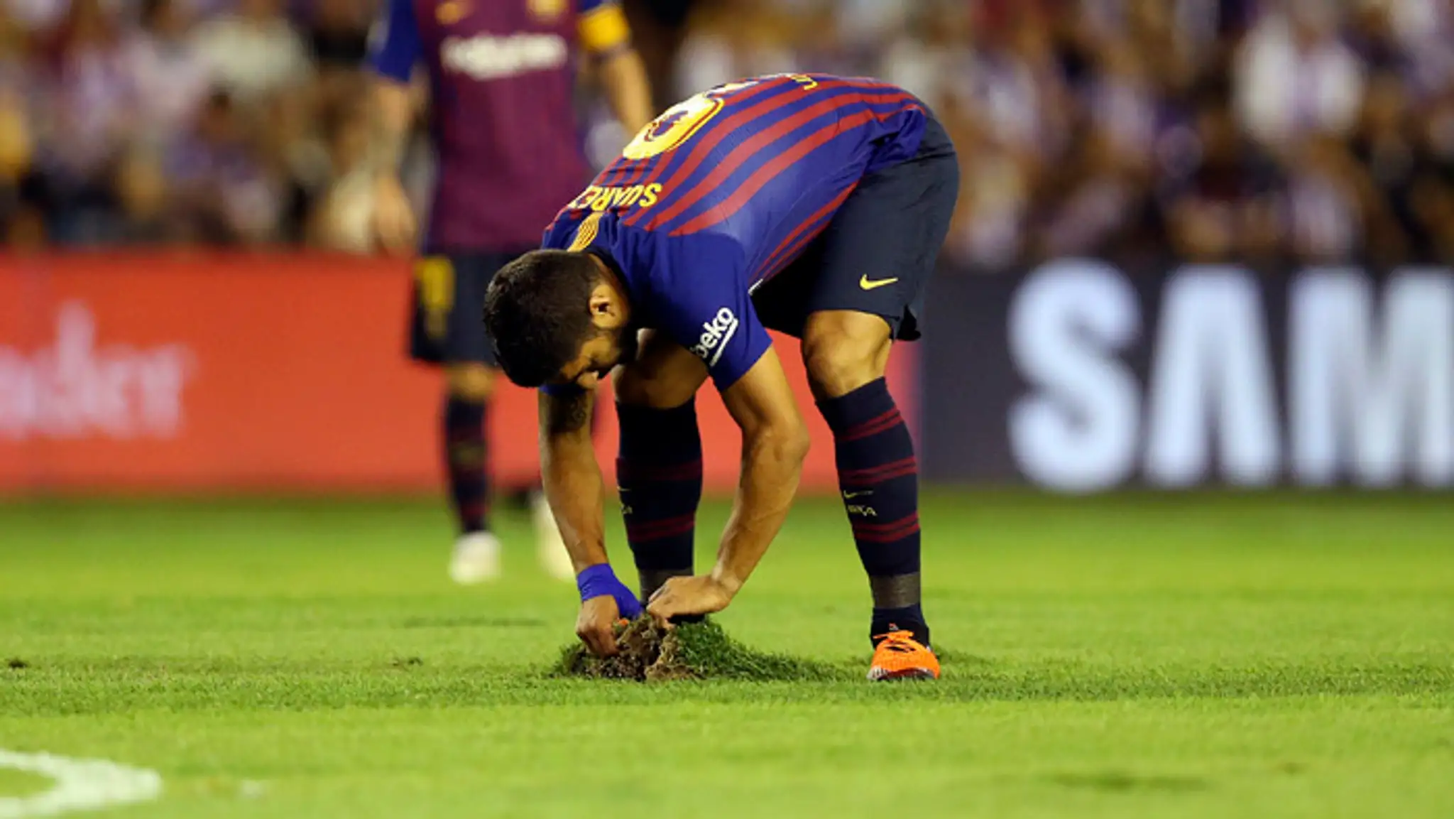 Luis Suarez ukazuje kvalitu trávnika počas zápasu proti Valladolid.