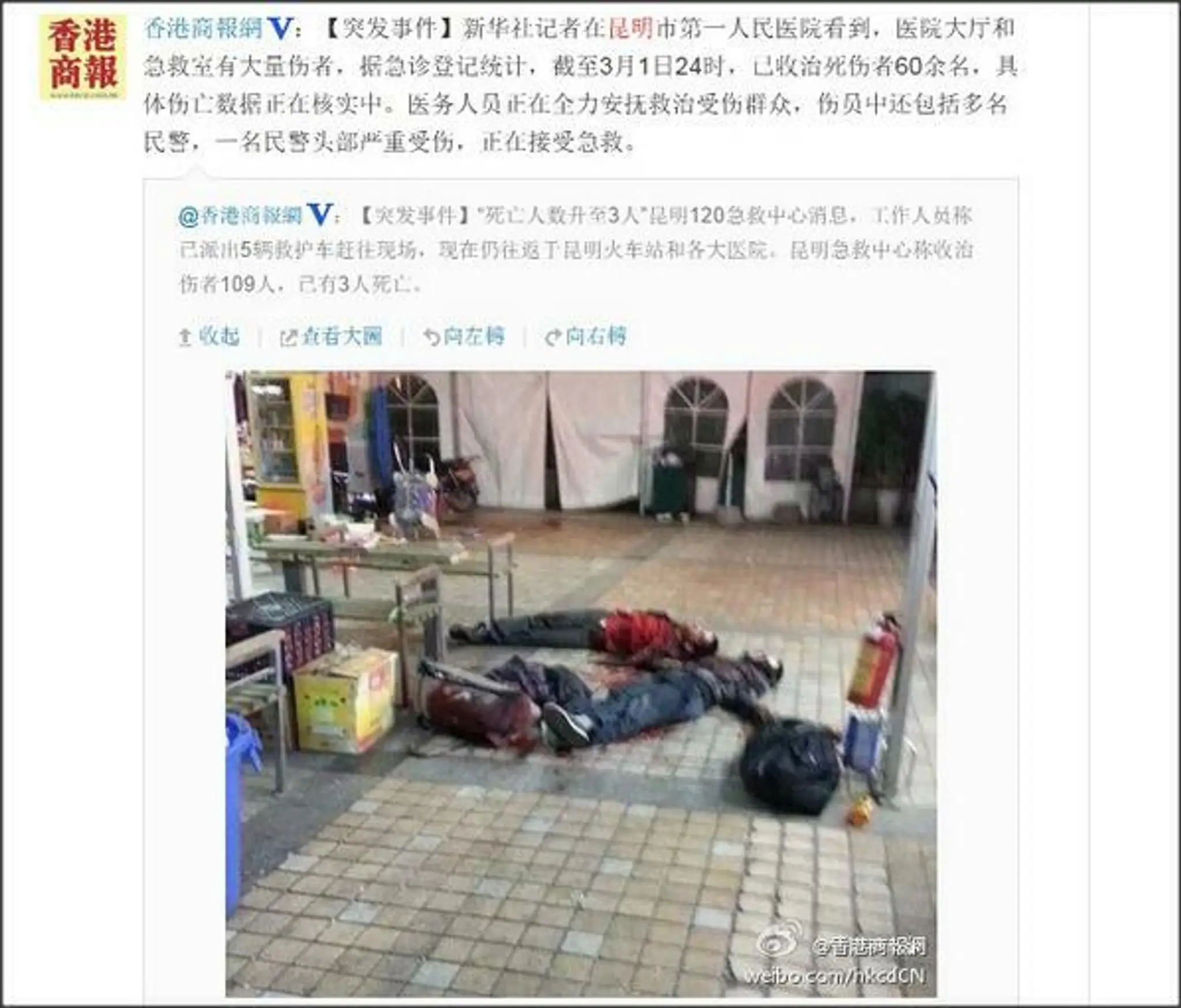 cina2.jpg