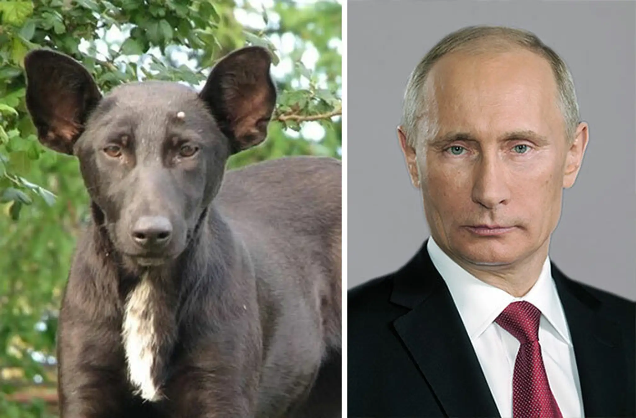 podoba12.jpg