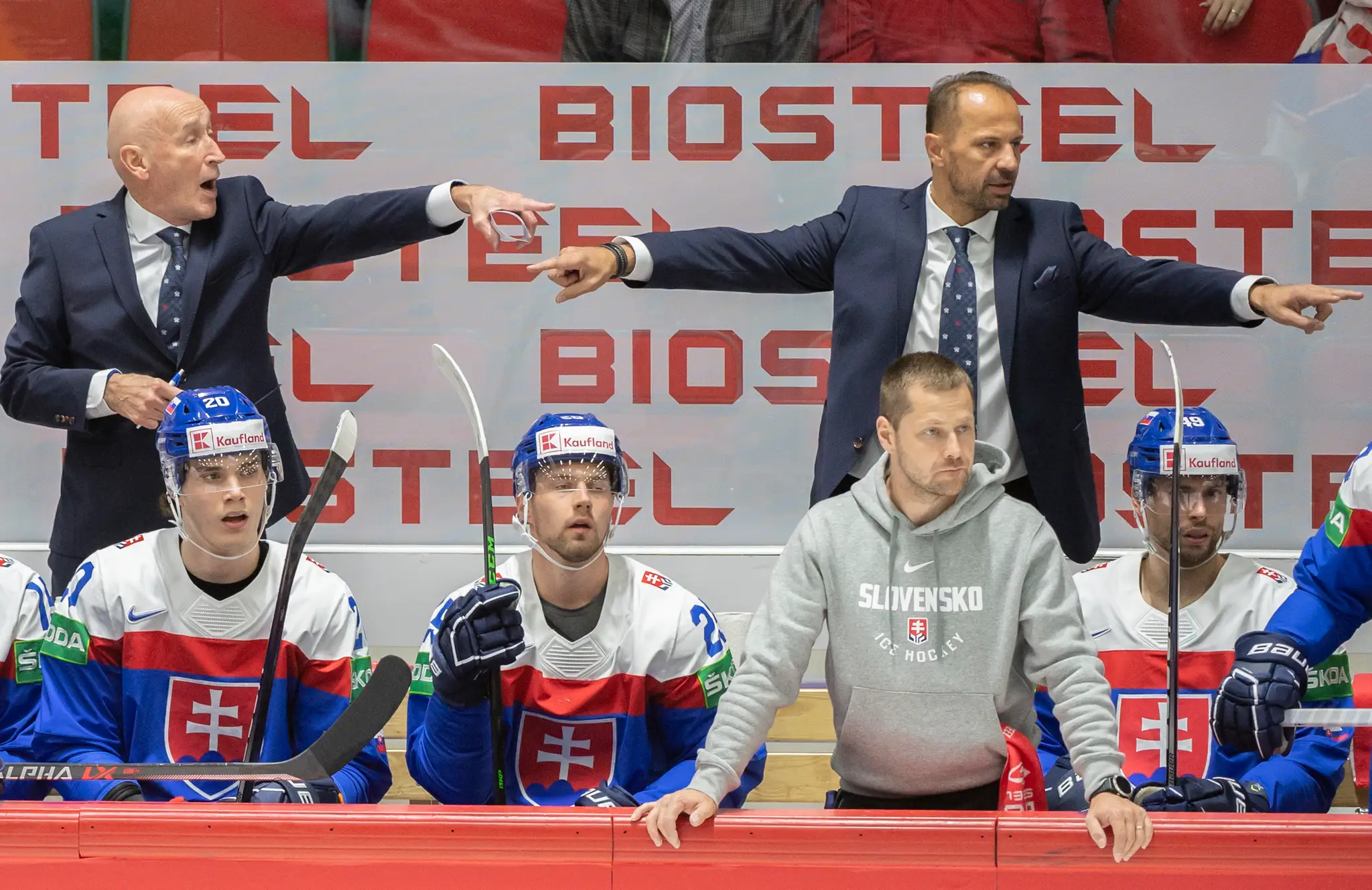 Slovenská striedačka počas zápasu s Kanadou.