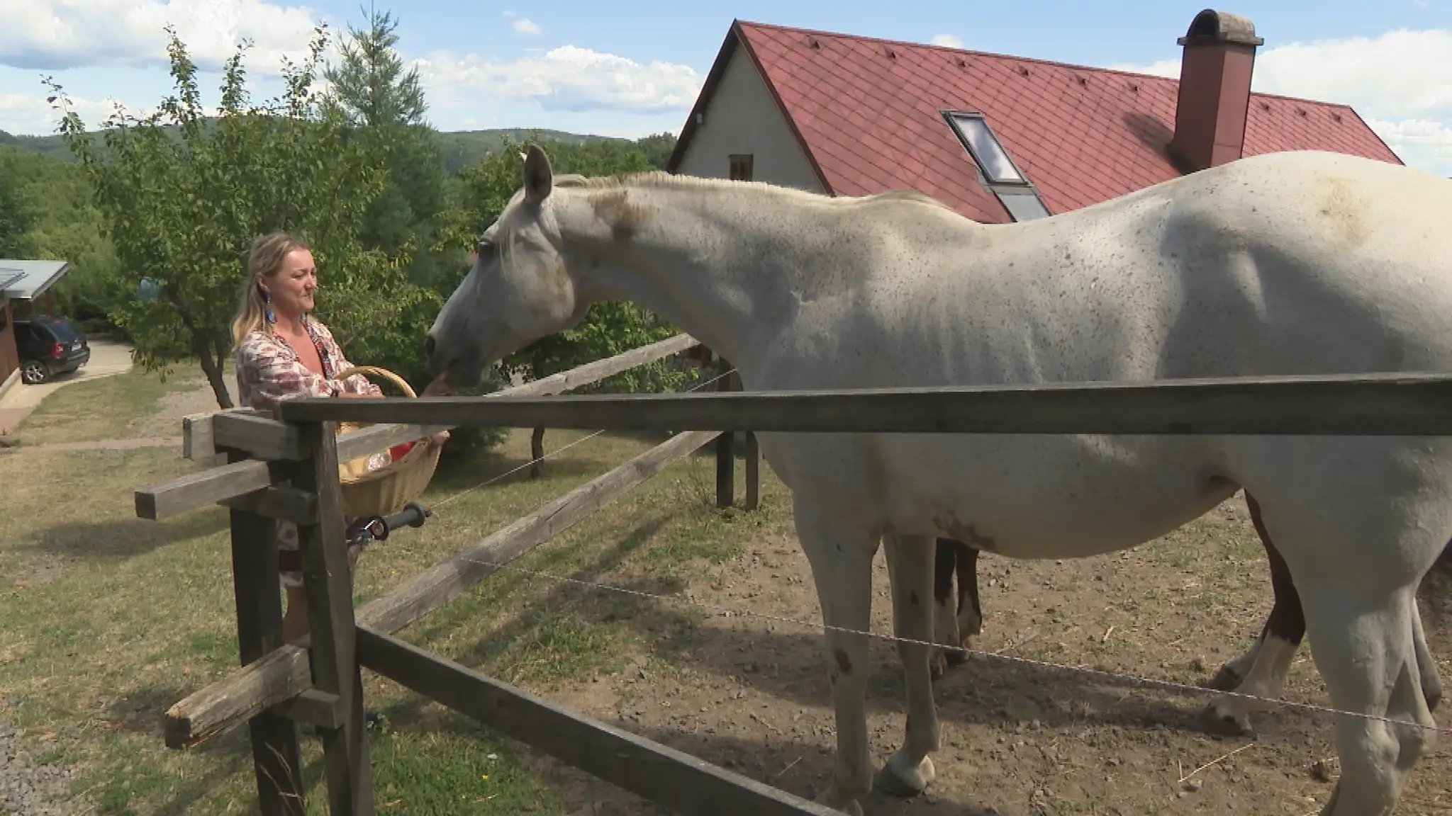 Horský ranč.